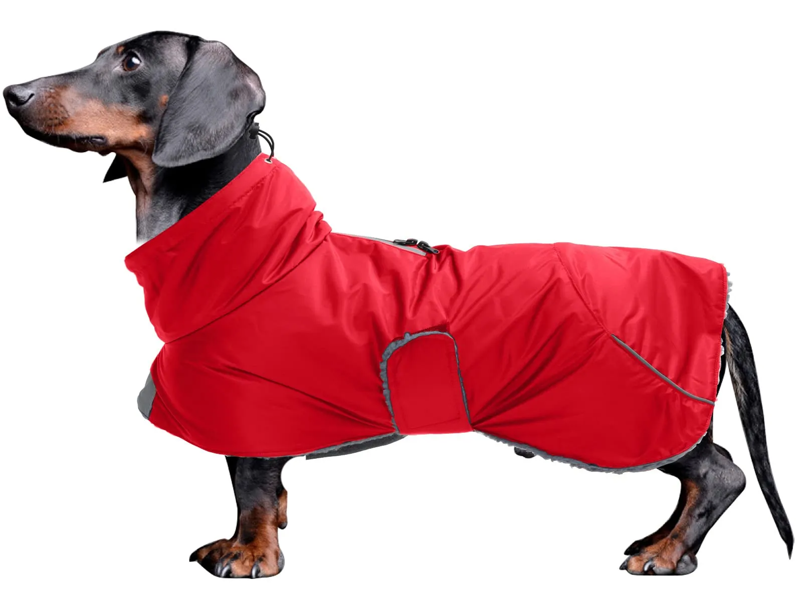 MOREZI Giacca Calda Per Cani Teckel, Abbigliamento Invernale Caldo Per Cani - immagine 1