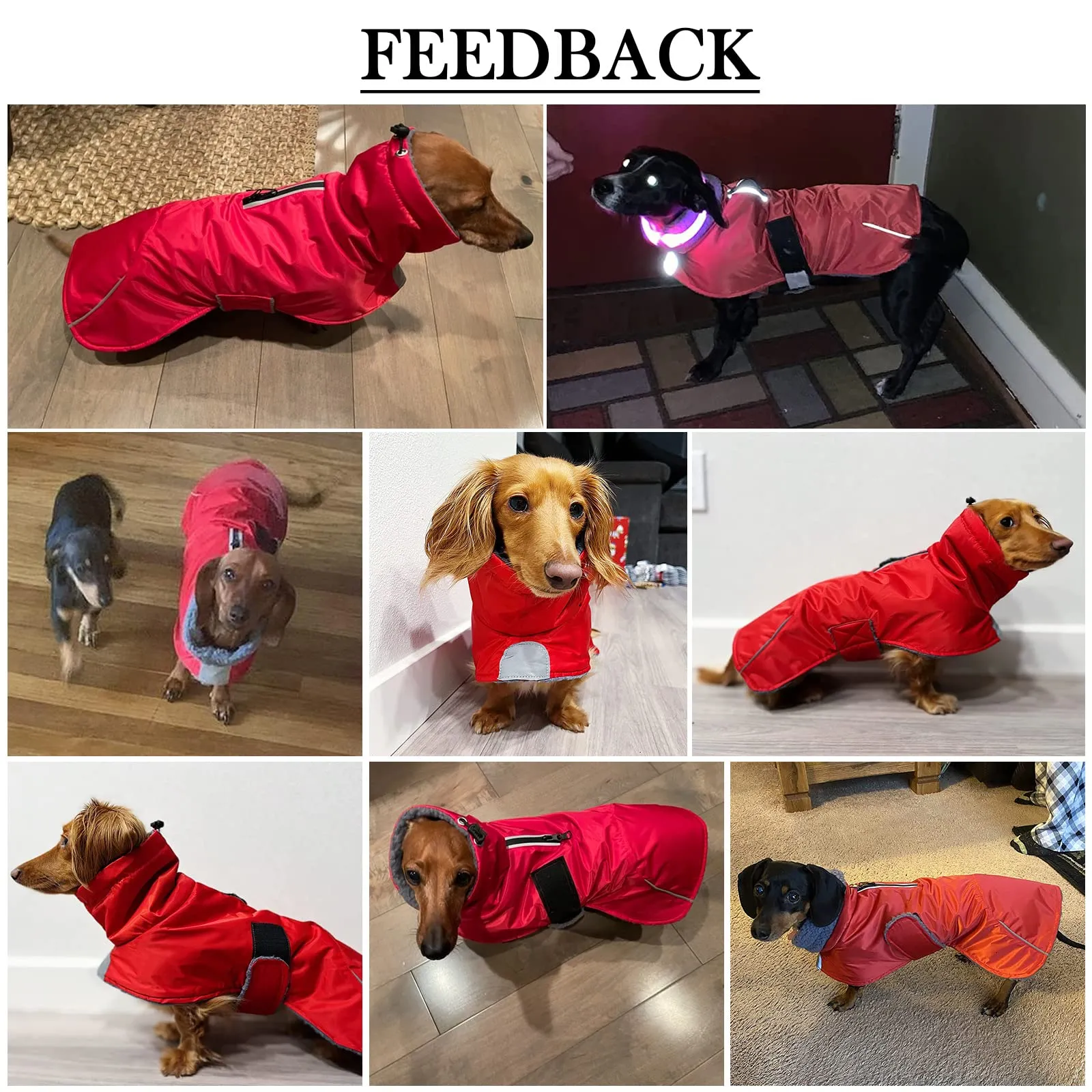 MOREZI Giacca Calda Per Cani Teckel, Abbigliamento Invernale Caldo Per Cani - immagine 4