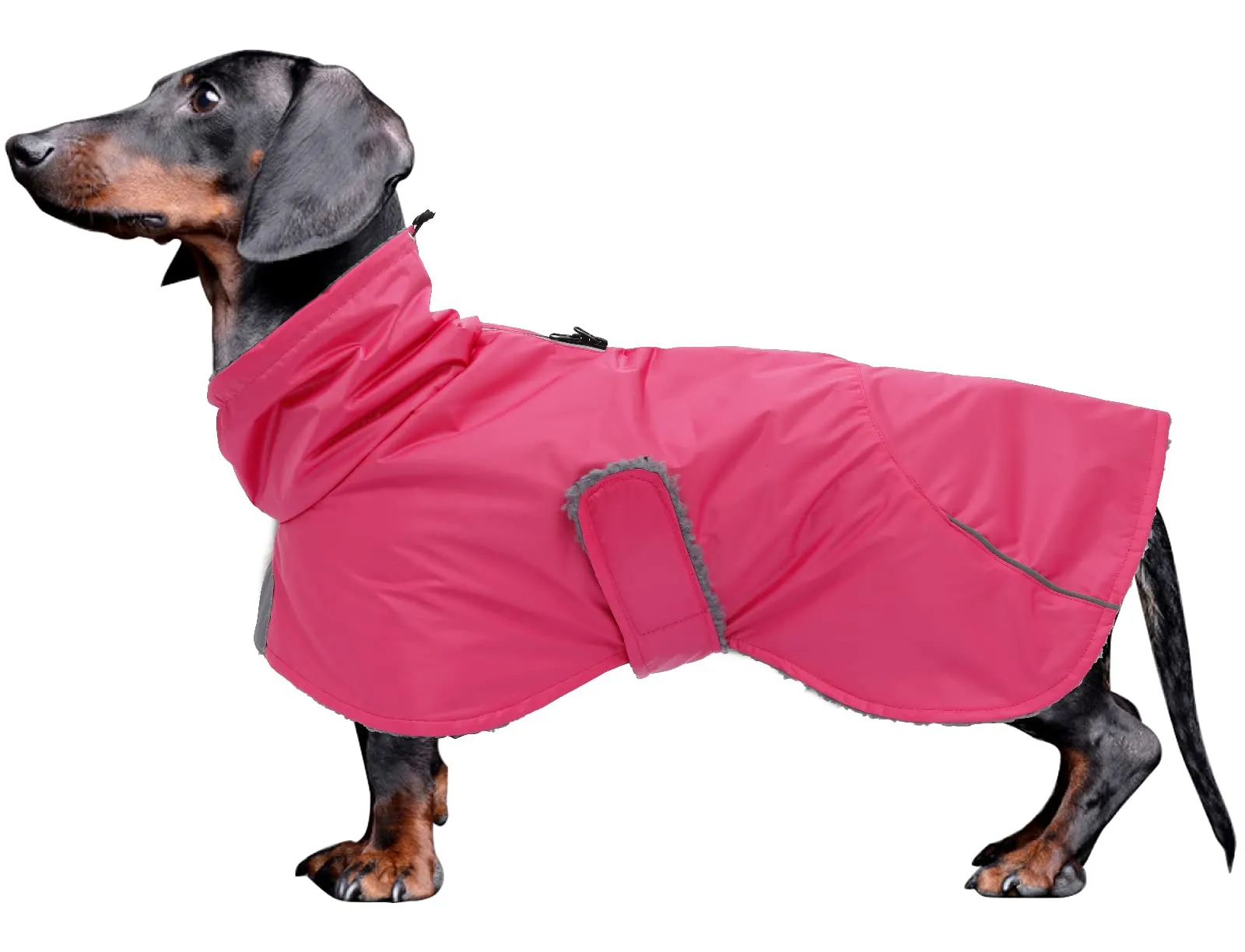 Giacca invernale per cani MOREZI, strato esterno impermeabile, fodera in pile, con cintura regolabile e finiture riflettenti, adatta a cani di piccola e media taglia-Rosa-M - immagine 1