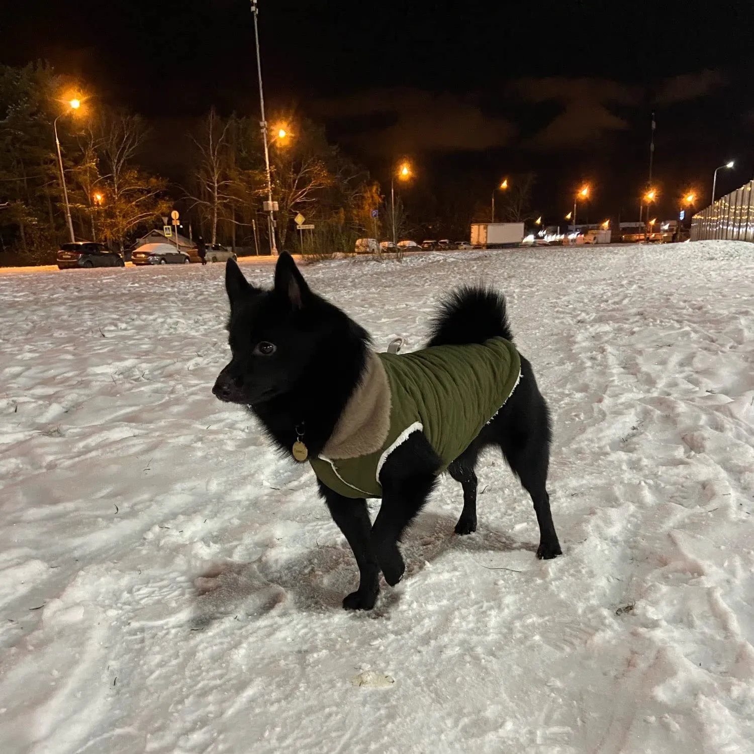 Cappottino invernale per cani foderato in pile, impermeabile, caldo e morbido, con anello a D, per cani di taglia media e grande, per attività all'aperto (L, verde) - immagine 9