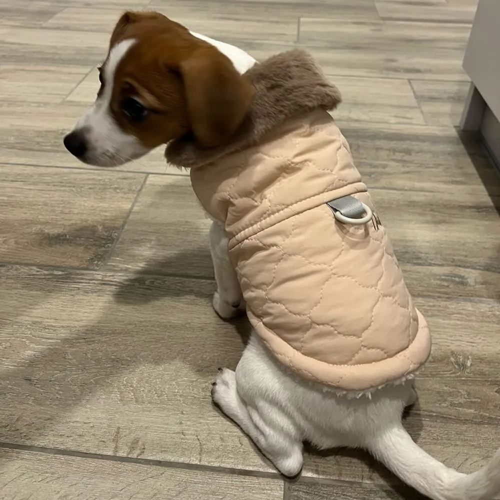 Cappottino invernale per cani foderato in pile, impermeabile, caldo e morbido, con anello a D, per cani di taglia media e grande, per attività all'aperto (XL, rosa) - immagine 9