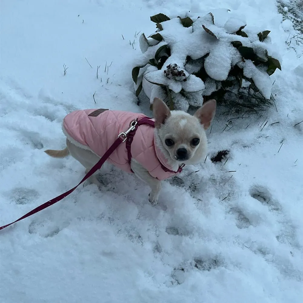 Cappottino invernale per cani foderato in pile, impermeabile e caldo, per cani di taglia piccola, media e grande (XXL, rosa 2) - immagine 6