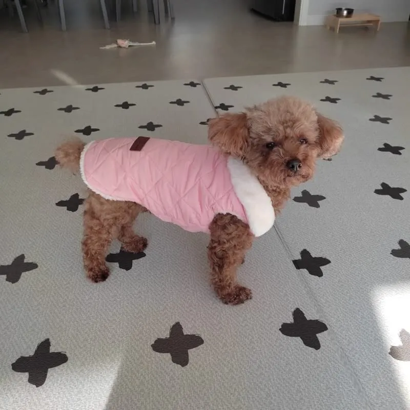 Cappottino invernale per cani foderato in pile, impermeabile e caldo, per cani di taglia piccola, media e grande (XXL, rosa 2) - immagine 7