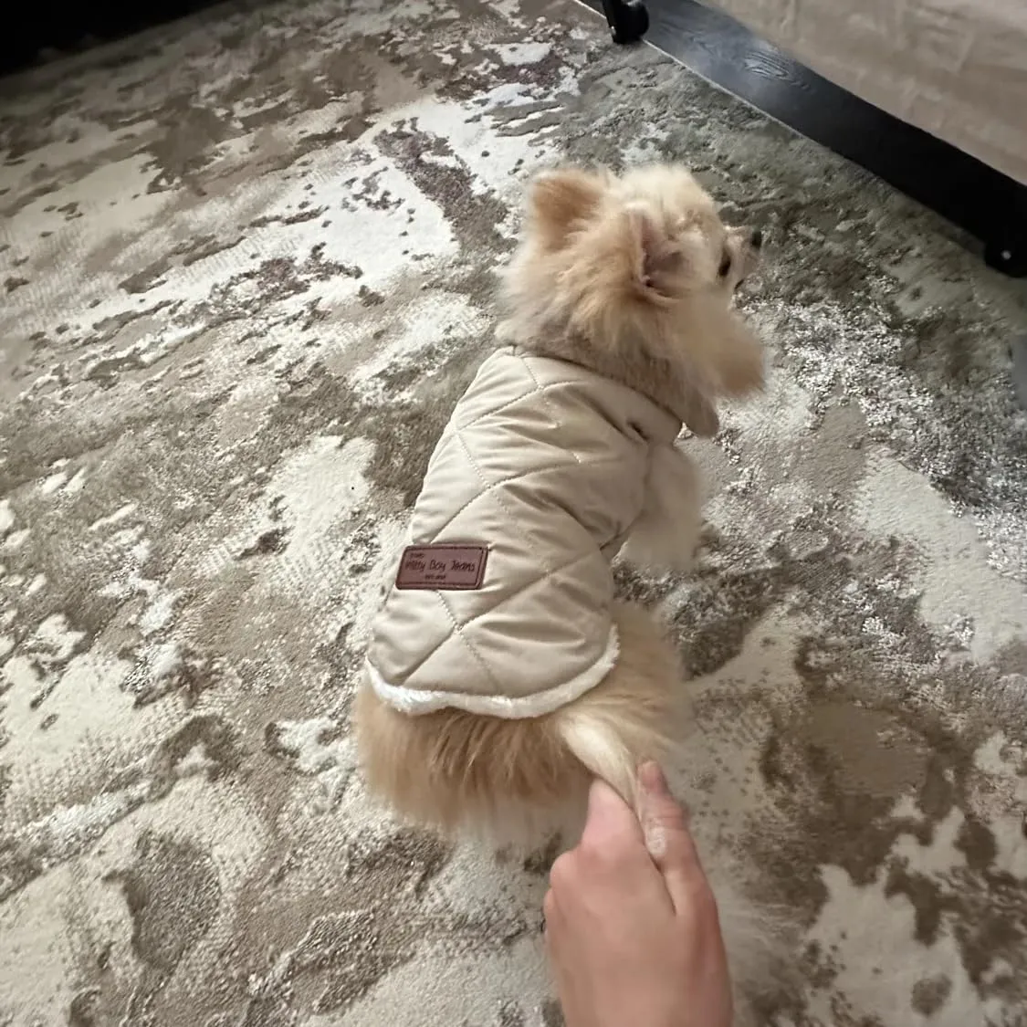 Cappottino invernale per cani foderato in pile, impermeabile e caldo, per cani di taglia piccola, media e grande (S, beige) - immagine 9