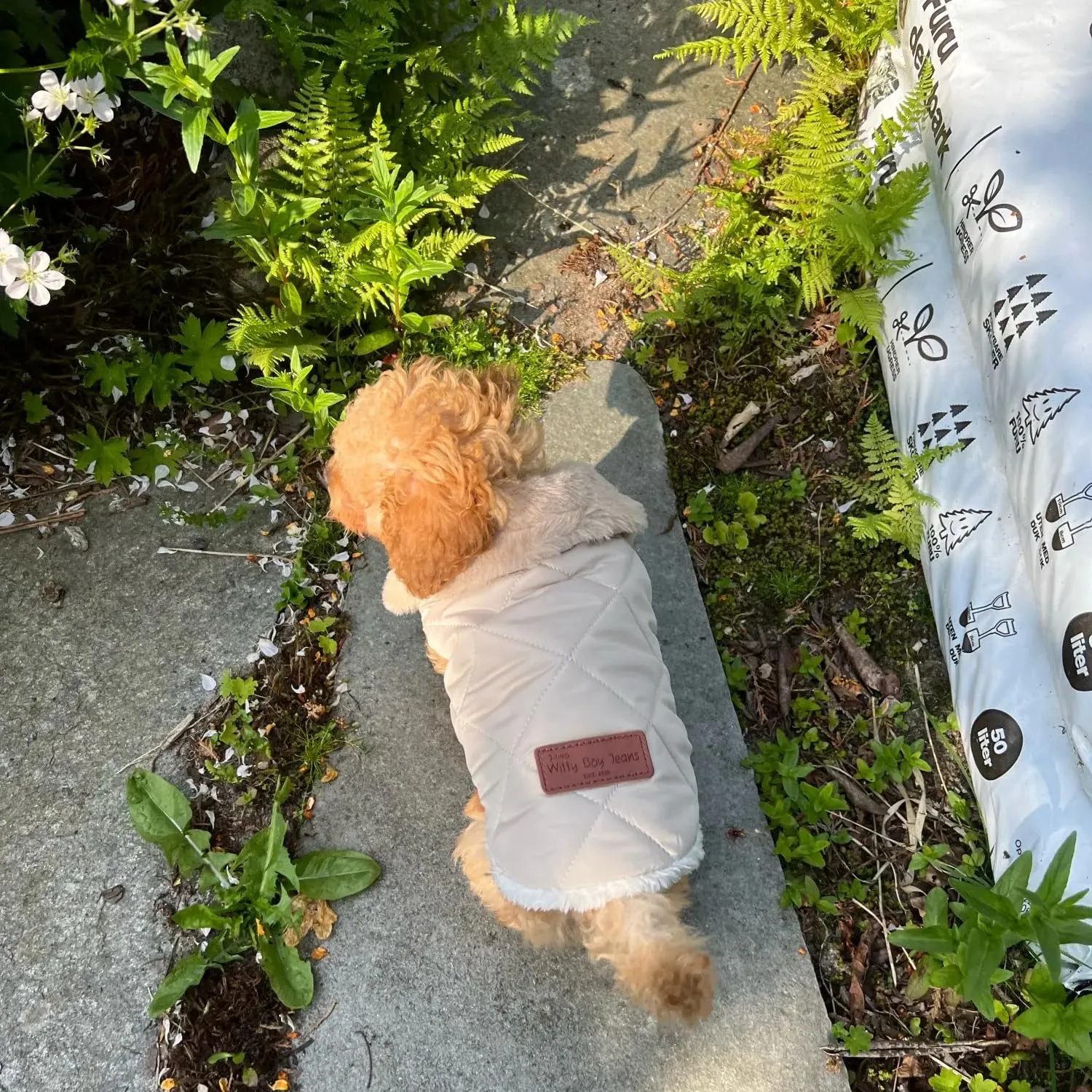 Cappottino invernale per cani,Pettorina Invernale per Cani,Calda Giacca per Cani di Piccola Taglia,Vestiti Dell'animale Domestico per Cani Piccoli,Gilet del per Cani di Piccola Taglia (M,Beige) - immagine 9