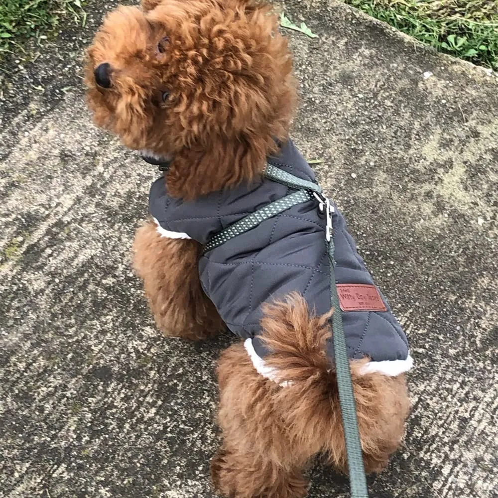 Cappottino invernale per cani foderato in pile, impermeabile e caldo, per cani di taglia piccola, media e grande (XL, verde scuro) - immagine 8