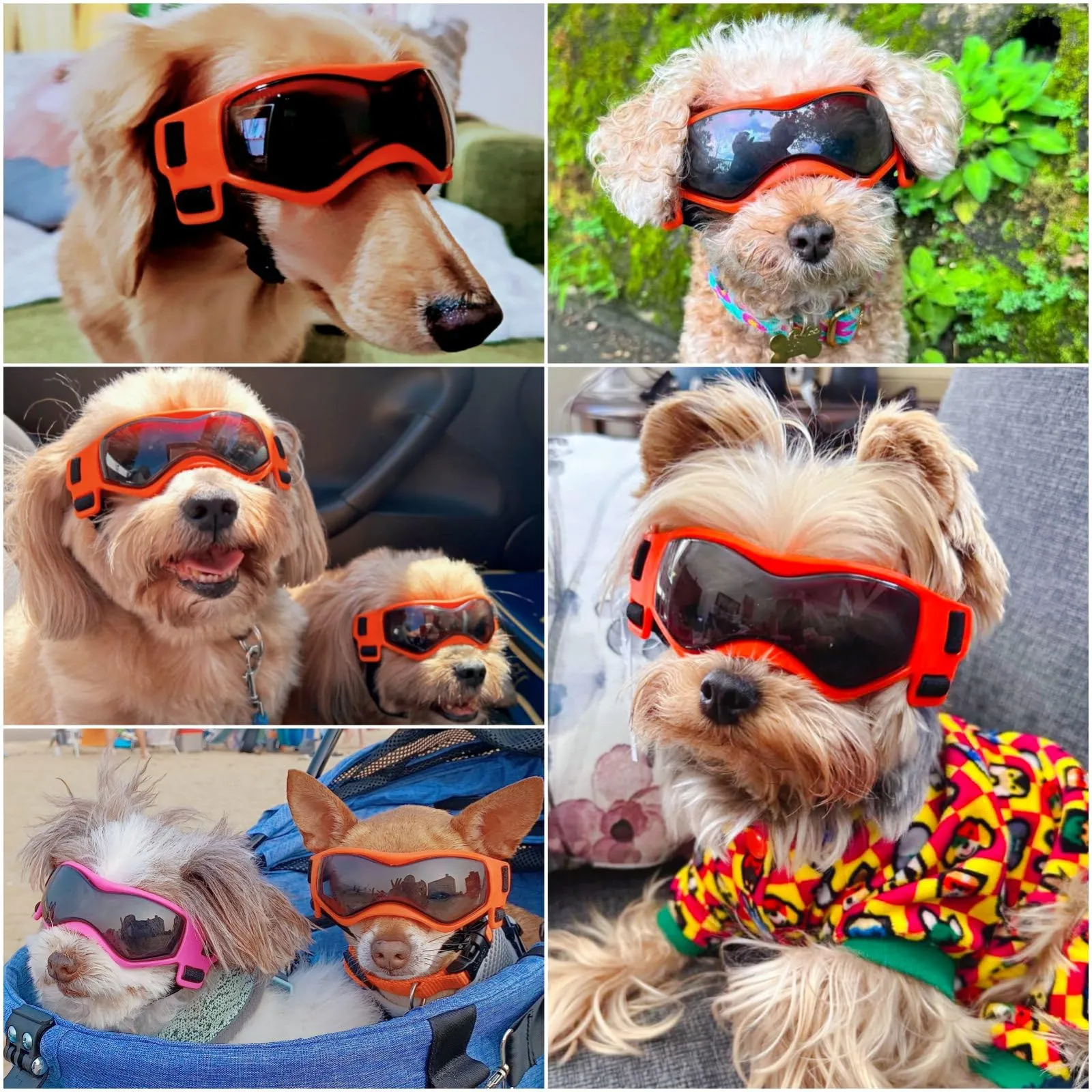 Enjoying Occhiali per Cani Taglia Piccola, Occhiali da Sole per Cucciolo Moto, Gatti Adulti Occhiali Cane, Protezione UV, Regolabile, Cool Arancione - immagine 2