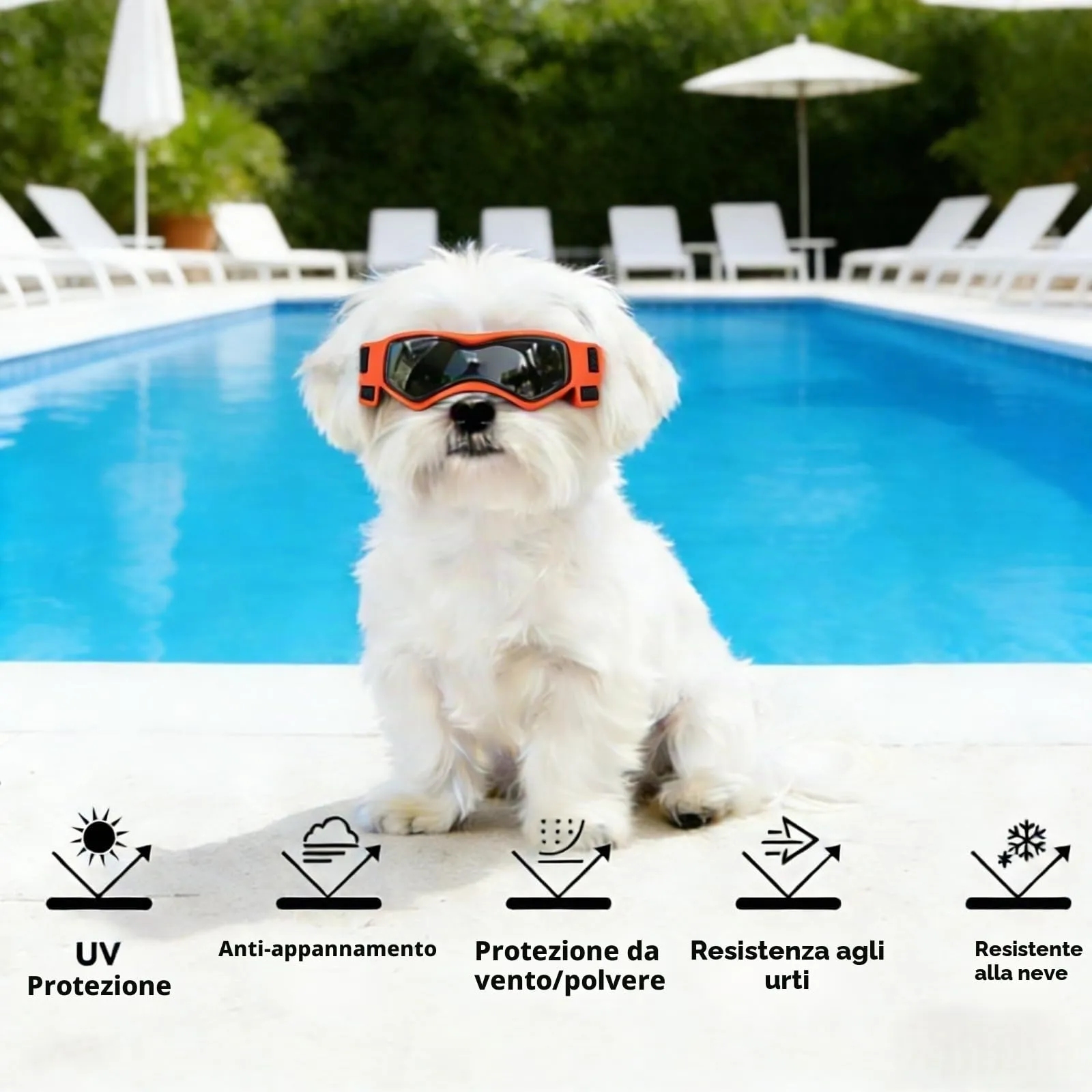 Enjoying Occhiali per Cani Taglia Piccola, Occhiali da Sole per Cucciolo Moto, Gatti Adulti Occhiali Cane, Protezione UV, Regolabile, Cool Arancione - immagine 5