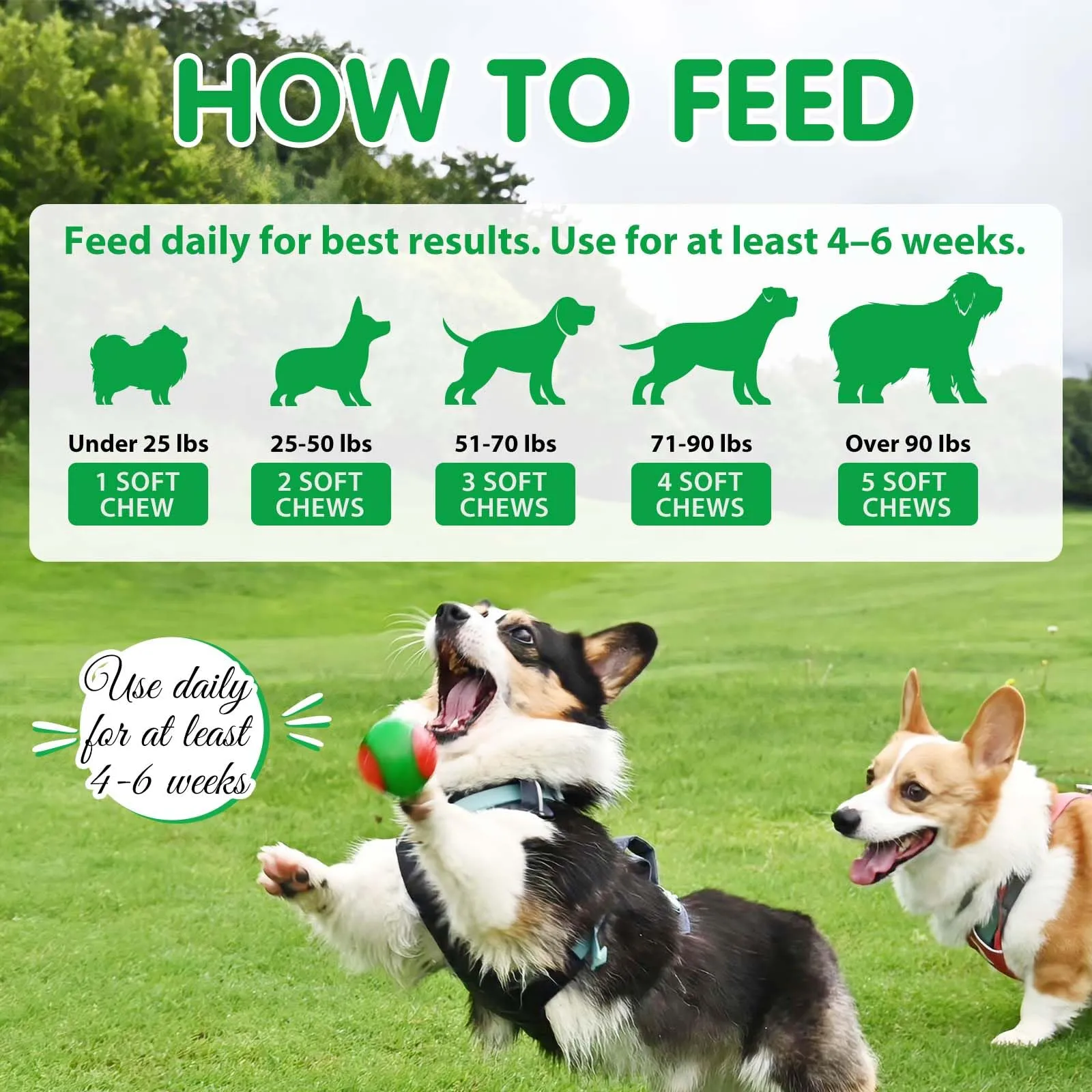Probiotici per Cani - Probiotici per Cani per la Salute Intestinale e la Digestione, Tutte le età e Razze, 120 Masticativi Probiotici, Gusto Anatra - immagine 8