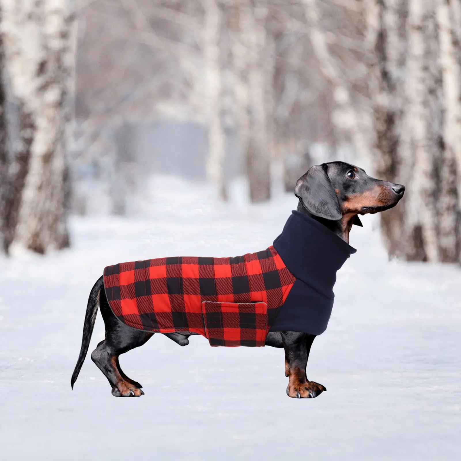 Geyecete Impermeabile Cappotto Bassotto cane,Giacca invernale per bassotto,Regolabile Caldo pullover per Cani,Collo Alto Cappotto da cucciolo,Stile Quadri Inglese-Rosso Quadri-L - immagine 6