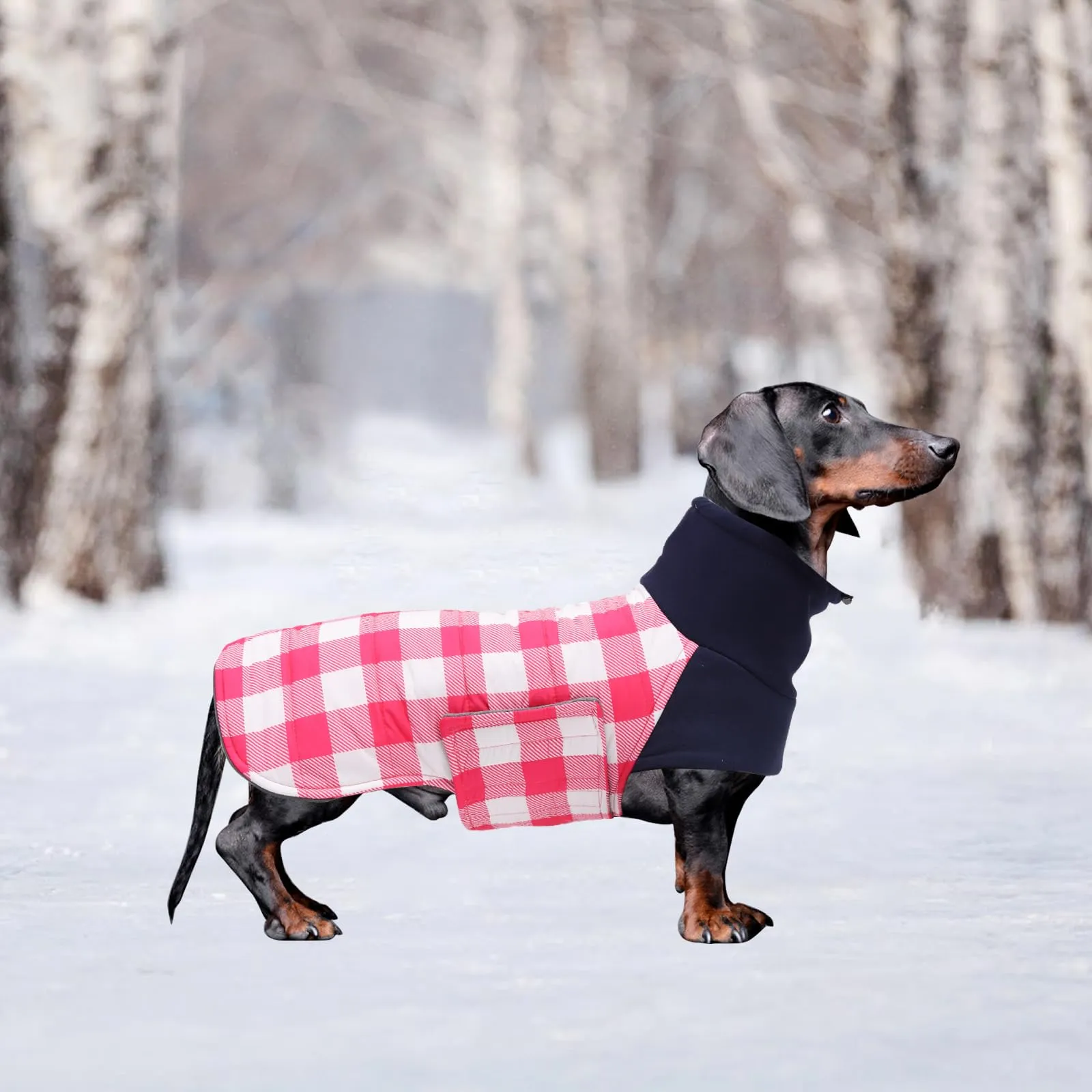 Geyecete Impermeabile Cappotto Bassotto cane,Giacca invernale per bassotto,Regolabile Caldo pullover per Cani,Collo Alto Cappotto da cucciolo,Stile Quadri Inglese-Rosa Quadri-M - immagine 6