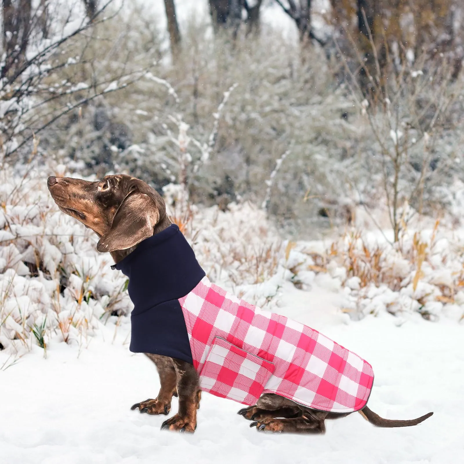 Geyecete Impermeabile Cappotto Bassotto cane,Giacca invernale per bassotto,Regolabile Caldo pullover per Cani,Collo Alto Cappotto da cucciolo,Stile Quadri Inglese-Rosa Quadri-L - immagine 7