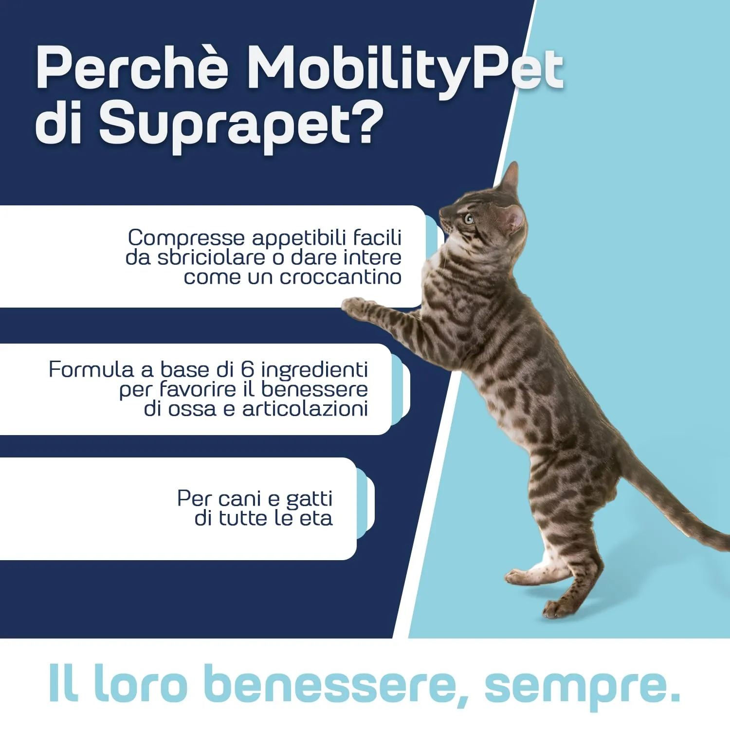 Suprapet MobilityPet Cani e Gatti - Supporto per Ossa e Cartilagini - Con Boswelia Glucosammina, Condroitina, MSM, Artiglio, Vitamina C (90 compresse) - immagine 4