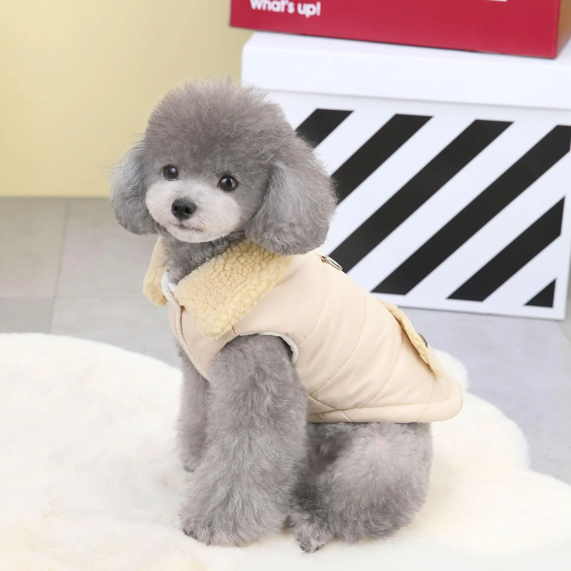 Cappottino invernale per cani foderato in pile, morbido, antivento, impermeabile, caldo, per cani di taglia piccola, media e grande (XL, beige) - immagine 3