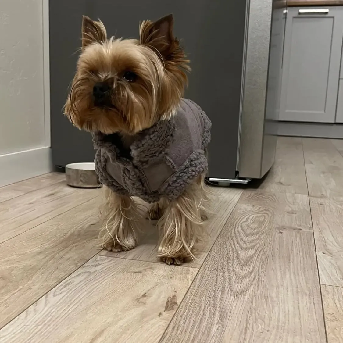 Cappotto Invernale per Cani,Giacca per Cani,Abbigliamento per cani con D Anello,Vestiti Dell'animale Domestico,Giacca per Cani in Morbido pile per Cani di Taglia Piccoli Media e Grande(Grigio,XL) - immagine 7