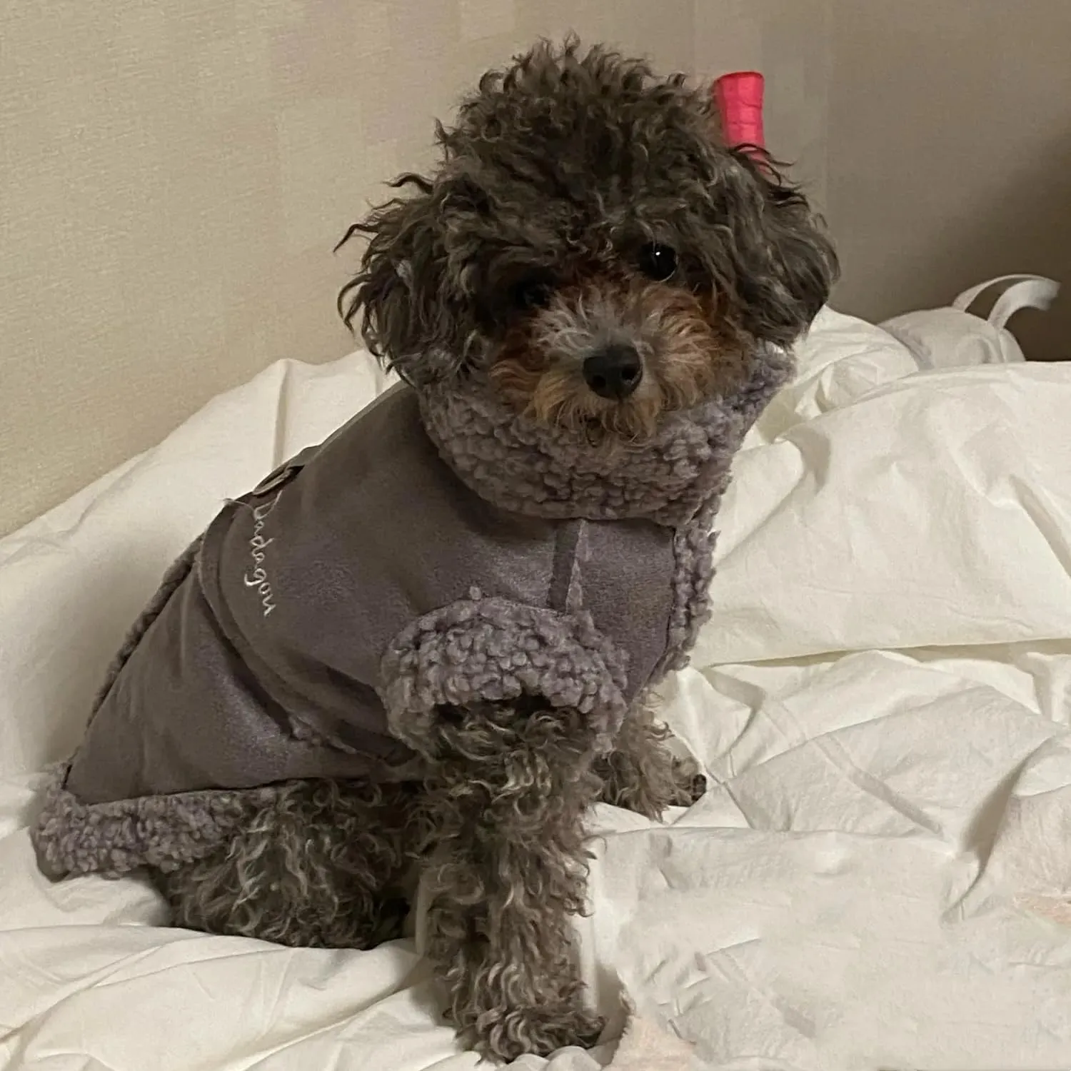 Cappotto Invernale per Cani,Giacca per Cani,Abbigliamento per cani con D Anello,Vestiti Dell'animale Domestico,Giacca per Cani in Morbido pile per Cani di Taglia Piccoli Media e Grande(Grigio,M) - immagine 8