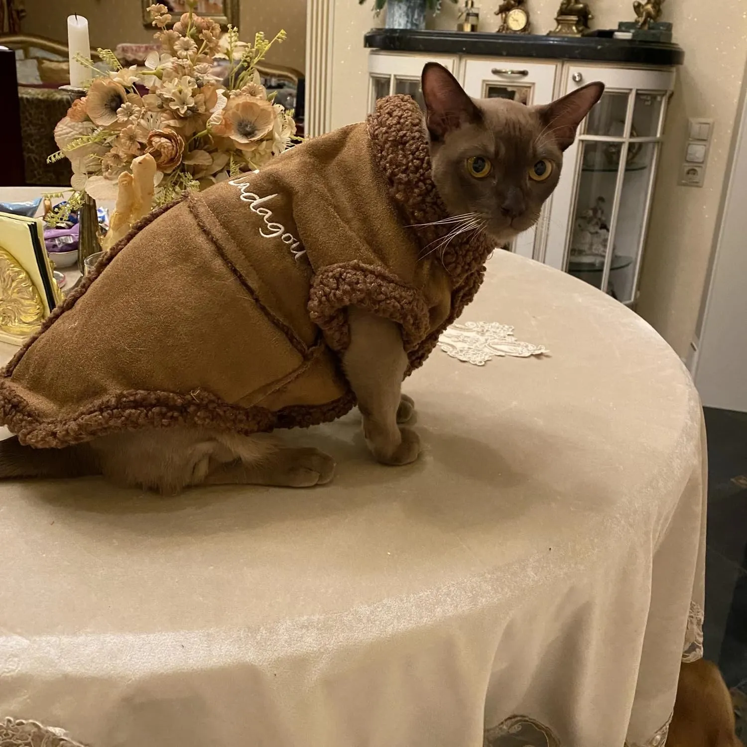 Cappotto Invernale per Cani,Giacca per Cani,Abbigliamento per cani con D Anello,Vestiti Dell'animale Domestico,Giacca per Cani in Morbido pile per Cani di Taglia Piccoli Media e Grande(Marrone,L) - immagine 9