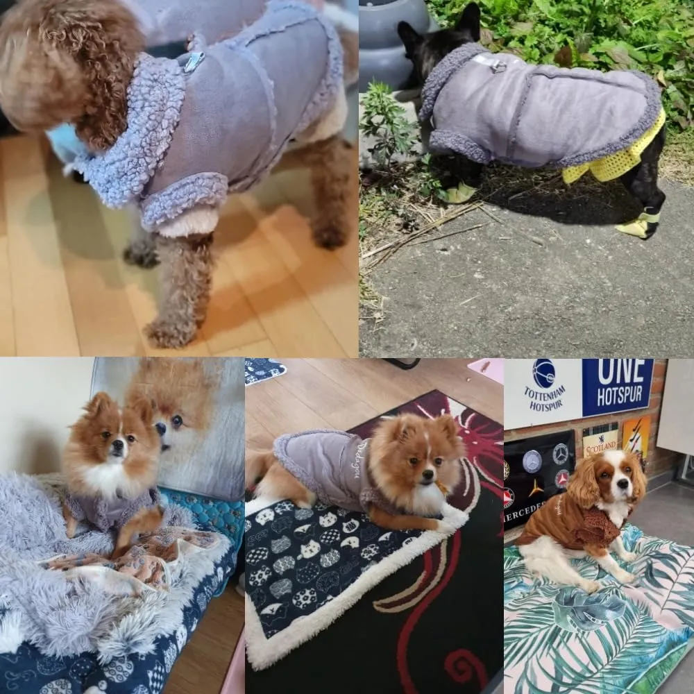 Cappotto Invernale per Cani,Giacca per Cani,Abbigliamento per cani con D Anello,Vestiti Dell'animale Domestico,Giacca per Cani in Morbido pile per Cani di Taglia Piccoli Media e Grande(Grigio,L) - immagine 7