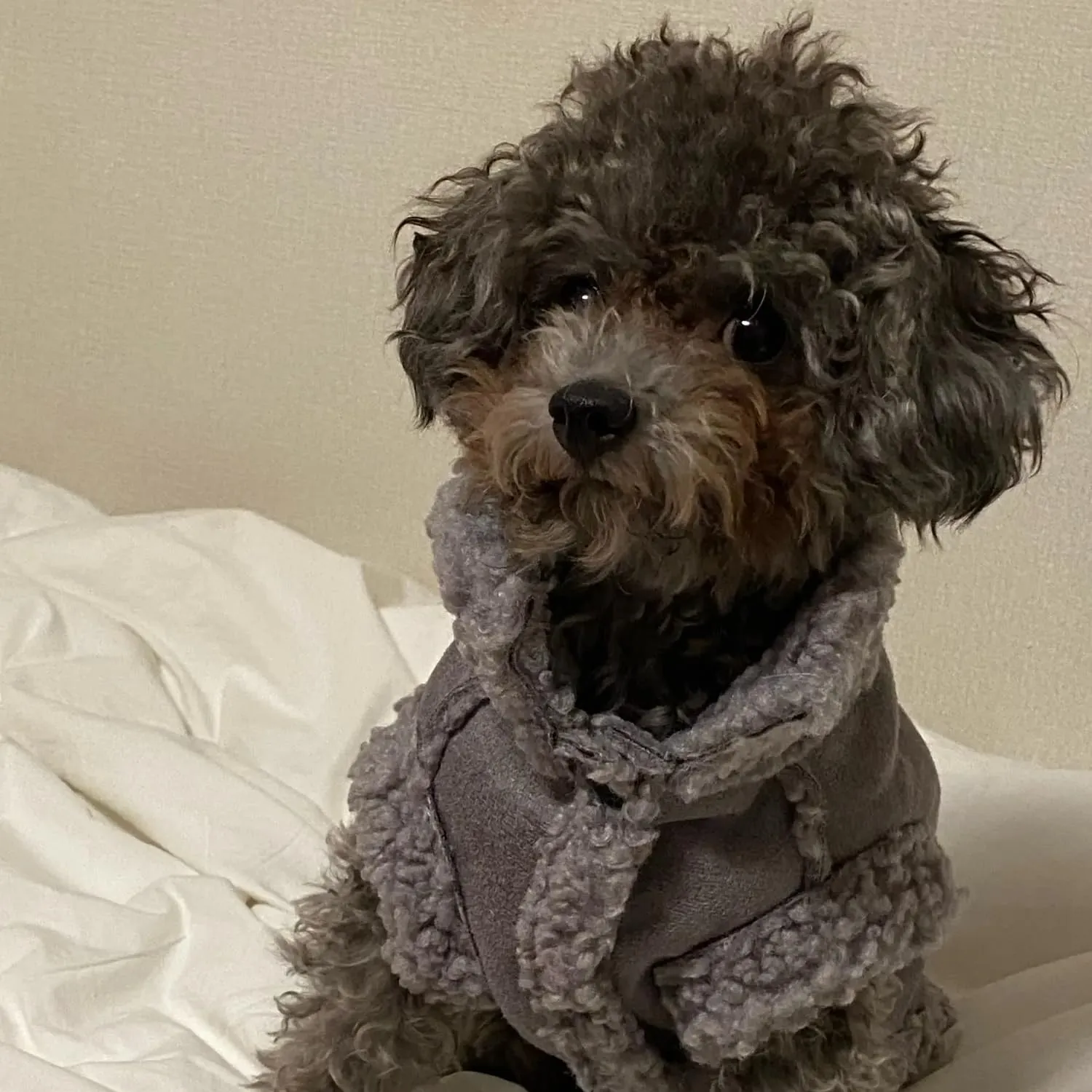 Cappotto Invernale per Cani,Giacca per Cani,Abbigliamento per cani con D Anello,Vestiti Dell'animale Domestico,Giacca per Cani in Morbido pile per Cani di Taglia Piccoli Media e Grande(Grigio,L) - immagine 8