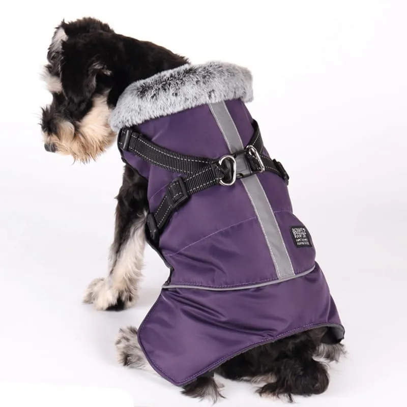 Cappotto Invernale per Cani,Cappotto Impermeabile Cane con Fodera in Pile,Abbigliamento per cani con pettorina,Gilet Riflettente del per Cani Piccola Taglia Media Grandi(Viola,L) - immagine 8