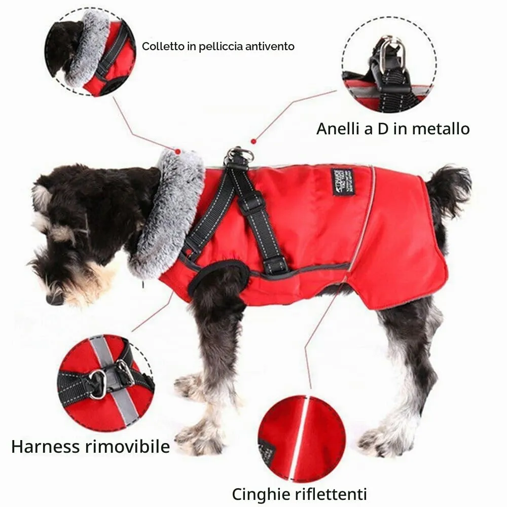 Cappotto Invernale per Cani,Cappotto Impermeabile Cane con Fodera in Pile,Abbigliamento per cani con pettorina,Gilet Riflettente del per Cani Piccola Taglia Media Grandi(Rosso,L) - immagine 2