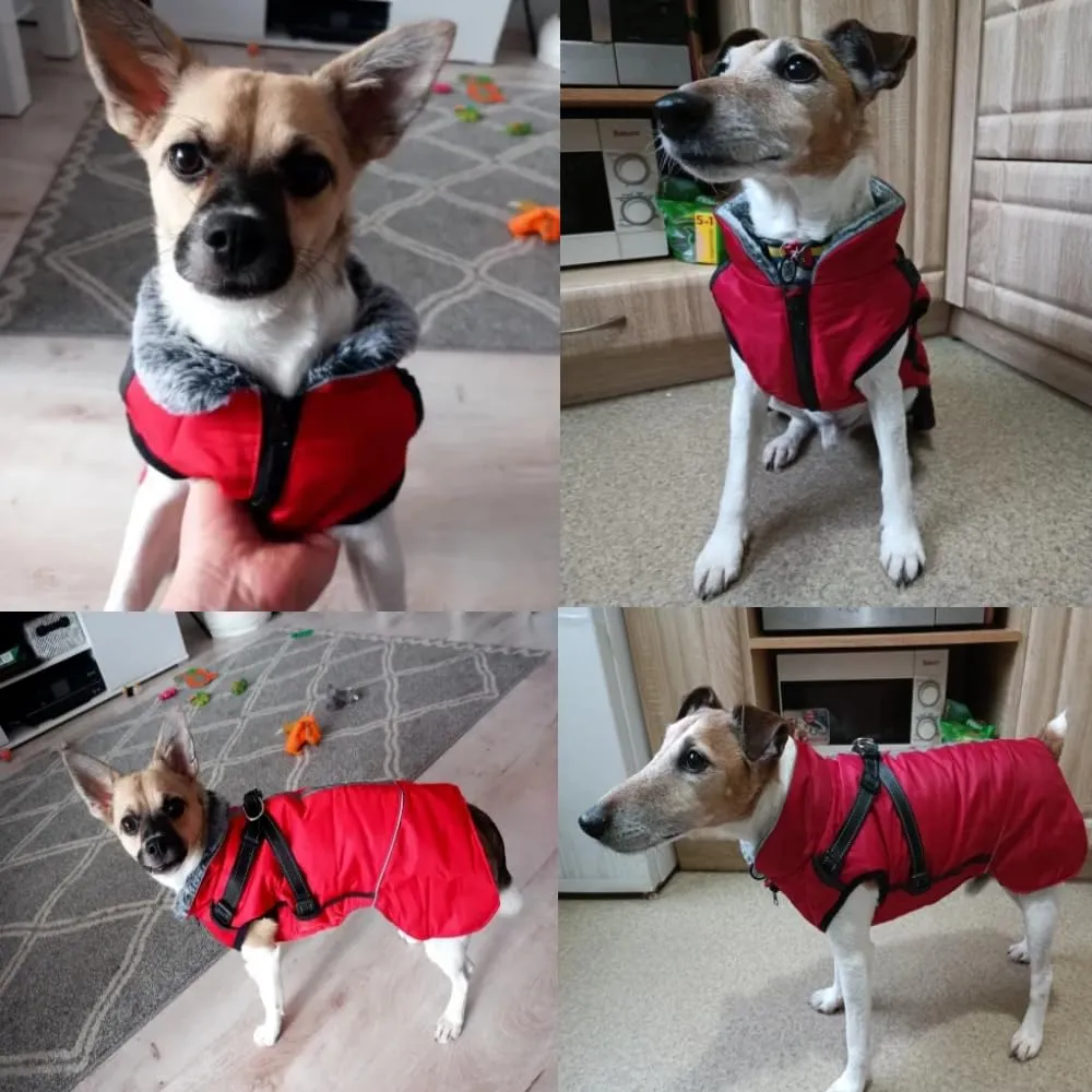 Cappotto Invernale per Cani,Cappotto Impermeabile Cane con Fodera in Pile,Abbigliamento per cani con pettorina,Gilet Riflettente del per Cani Piccola Taglia Media Grandi(Rosso,L) - immagine 9