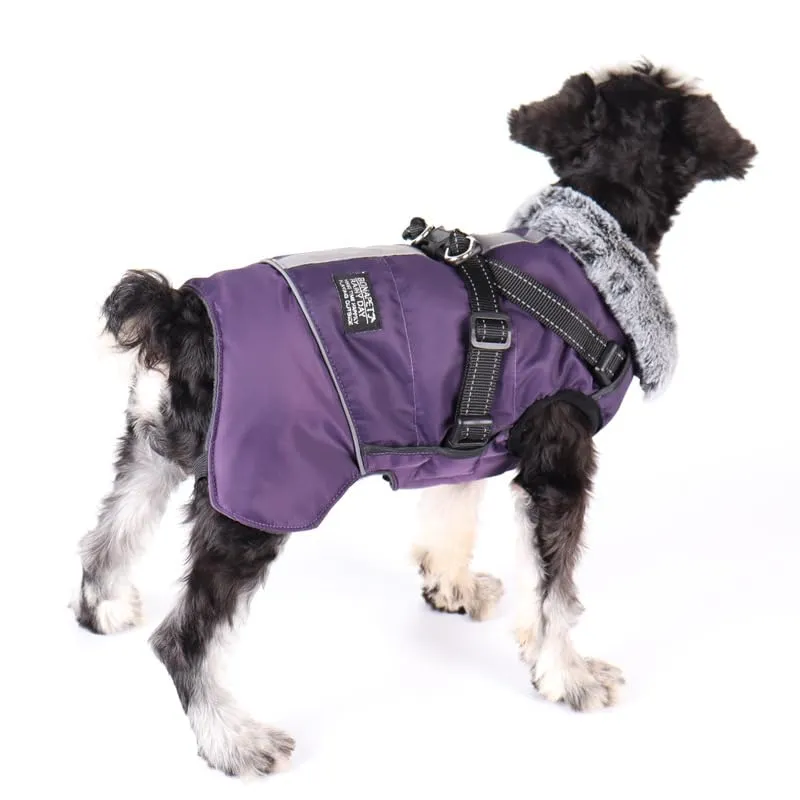 Cappotto Invernale per Cani,Cappotto Impermeabile Cane con Fodera in Pile,Abbigliamento per cani con pettorina,Gilet Riflettente del per Cani Piccola Taglia Media Grandi(Viola,M) - immagine 1
