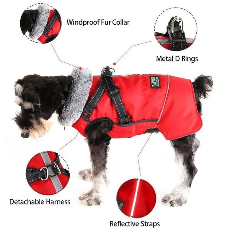 Cappotto Invernale per Cani,Cappotto Impermeabile Cane con Fodera in Pile,Abbigliamento per cani con pettorina,Gilet Riflettente del per Cani Piccola Taglia Media Grandi(Rosso,2XL) - immagine 2