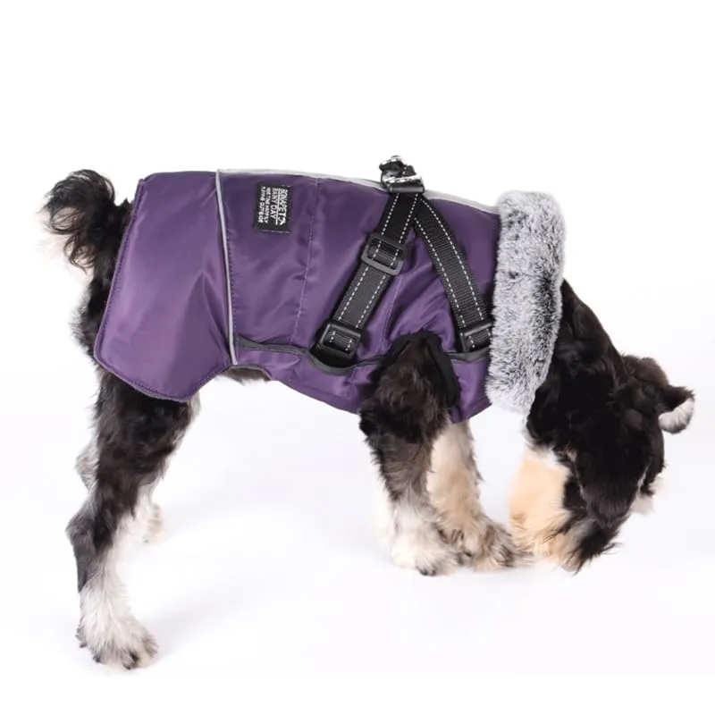 Cappotto Invernale per Cani,Cappotto Impermeabile Cane con Fodera in Pile,Abbigliamento per cani con pettorina,Gilet Riflettente del per Cani Piccola Taglia Media Grandi(Viola,XL) - immagine 9