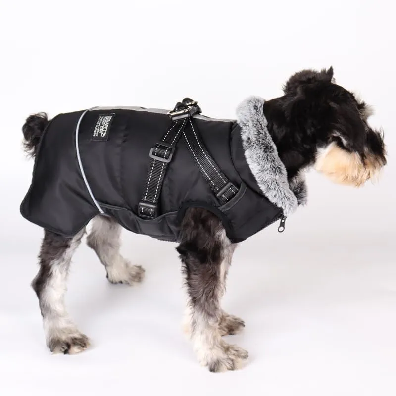 Cappotto Invernale per Cani,Cappotto Impermeabile Cane con Fodera in Pile,Abbigliamento per cani con pettorina,Gilet Riflettente del per Cani Piccola Taglia Media Grandi(Nero,L) - immagine 1