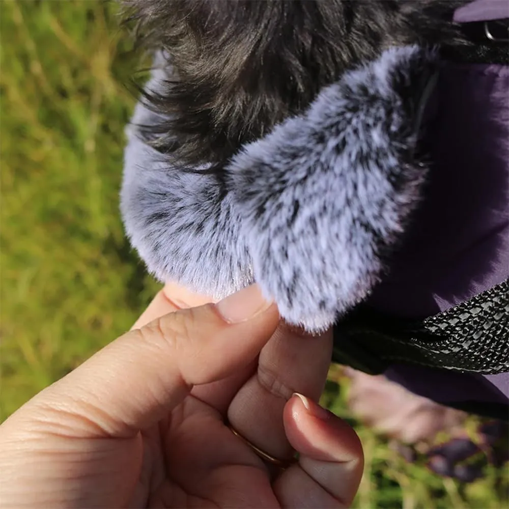 Cappotto Invernale per Cani,Cappotto Impermeabile Cane con Fodera in Pile,Abbigliamento per cani con pettorina,Gilet Riflettente del per Cani Piccola Taglia Media Grandi(Nero,XL) - immagine 5