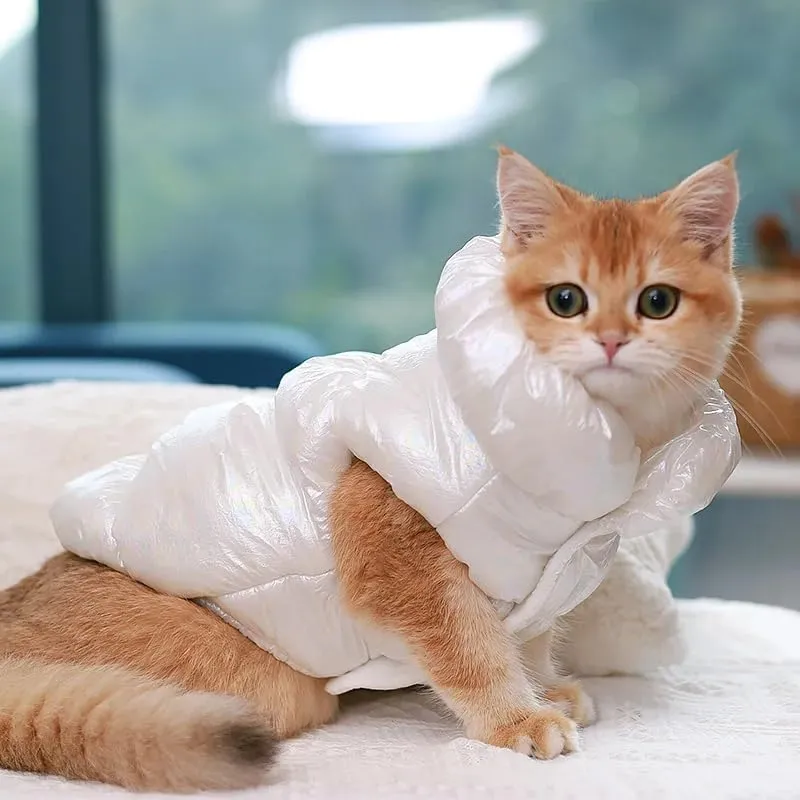 Cappotto Invernale per Cani,Giacca Impermeabile Caldo per Cane Antivento,Cappotto Cane in Pile,Abbigliamento per Cani,Vestiti per Cani di Taglia Piccola,Media e Grande(Bianco,S) - immagine 9