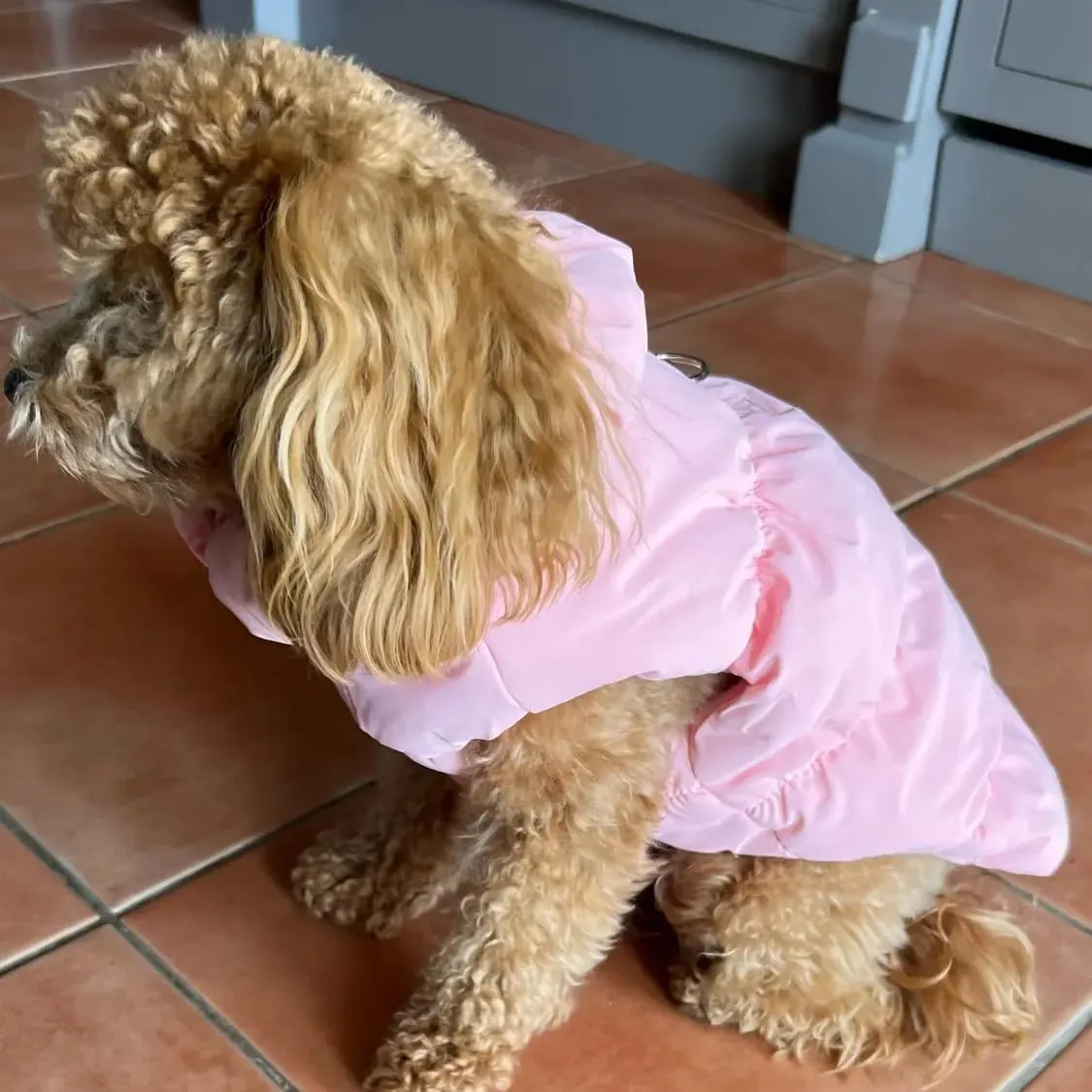 Cappotto Invernale per Cani, Giacca Impermeabile Antivento Caldo per Cane,Cappotto Cane in Pile,Abbigliamento per Cani con anello a D,Vestiti per Cani di Taglia Piccola,Media a Grande(rosa,XS) - immagine 7