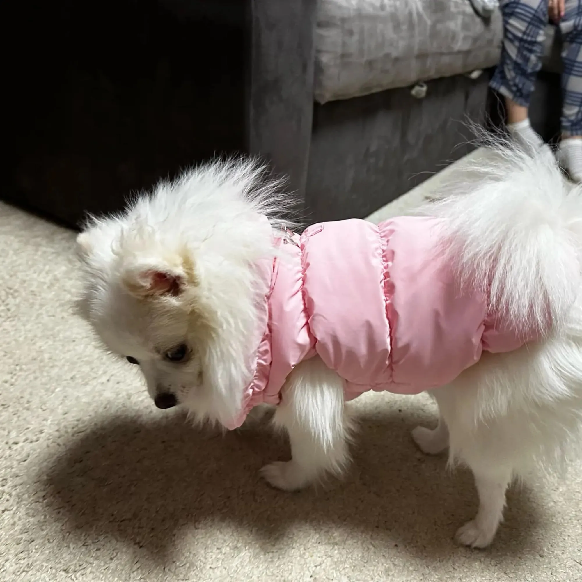 Cappotto Invernale per Cani, Giacca Impermeabile Antivento Caldo per Cane,Cappotto Cane in Pile,Abbigliamento per Cani con anello a D,Vestiti per Cani di Taglia Piccola,Media a Grande(rosa,XS) - immagine 8