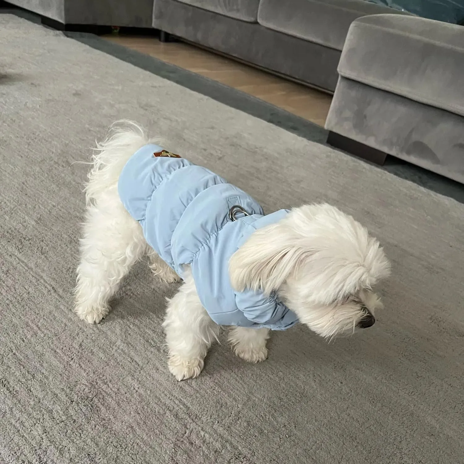 Cappotto Invernale per Cani, Giacca Impermeabile Antivento Caldo per Cane,Cappotto Cane in Pile,Abbigliamento per Cani con anello a D,Vestiti per Cani di Taglia Piccola,Media e Grande(Azzurro,L) - immagine 9