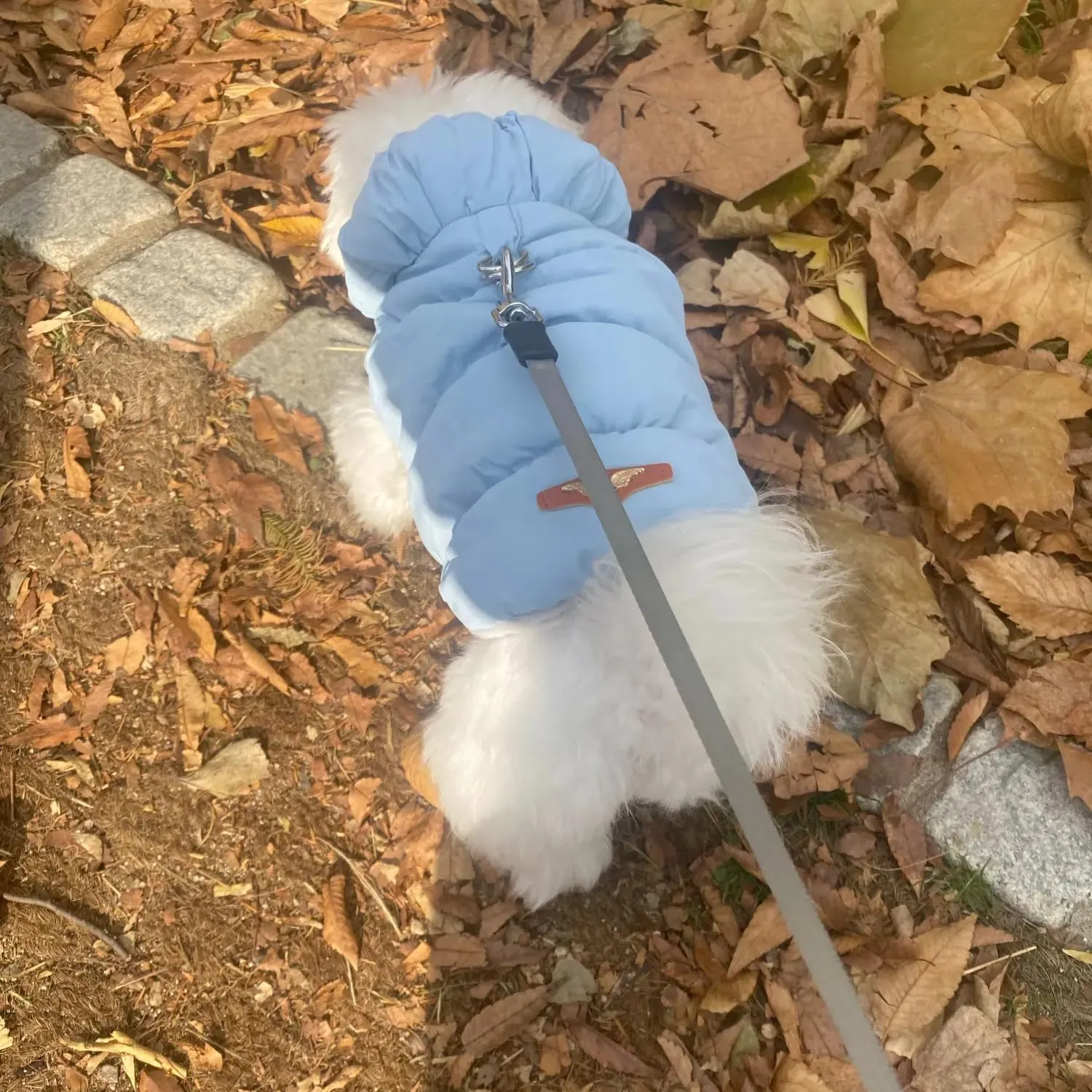 Cappotto Invernale per Cani, Giacca Impermeabile Antivento Caldo per Cane,Cappotto Cane in Pile,Abbigliamento per Cani con anello a D,Vestiti per Cani di Taglia Piccola,Media e Grande(Azzurro,XXL) - immagine 9