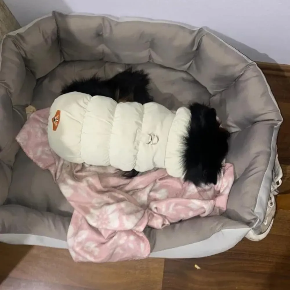 Cappotto Invernale per Cani, Giacca Impermeabile Antivento Caldo per Cane,Cappotto Cane in Pile,Abbigliamento per Cani con anello a D,Vestiti per Cani di Taglia Piccola,Media e Grande(beige, M) - immagine 8