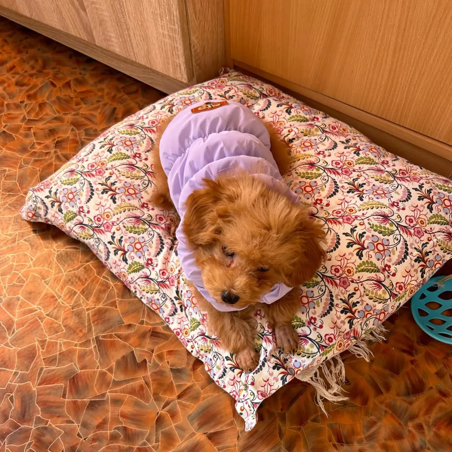 Cappotto Invernale per Cani, Giacca Impermeabile Antivento Caldo per Cane,Cappotto Cane in Pile,Abbigliamento per Cani con anello a D,Vestiti per Cani di Taglia Piccola,Media e Grande viola chiaro,XL - immagine 8