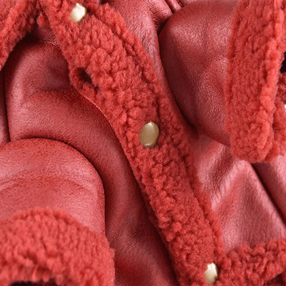 Cappotto Invernale per Cani, Caldo in Pile, Impermeabile e Antivento, Con Anello a D in Pelle PU, Comodo Foderato, per Taglia Piccola, Media e Grande - immagine 3