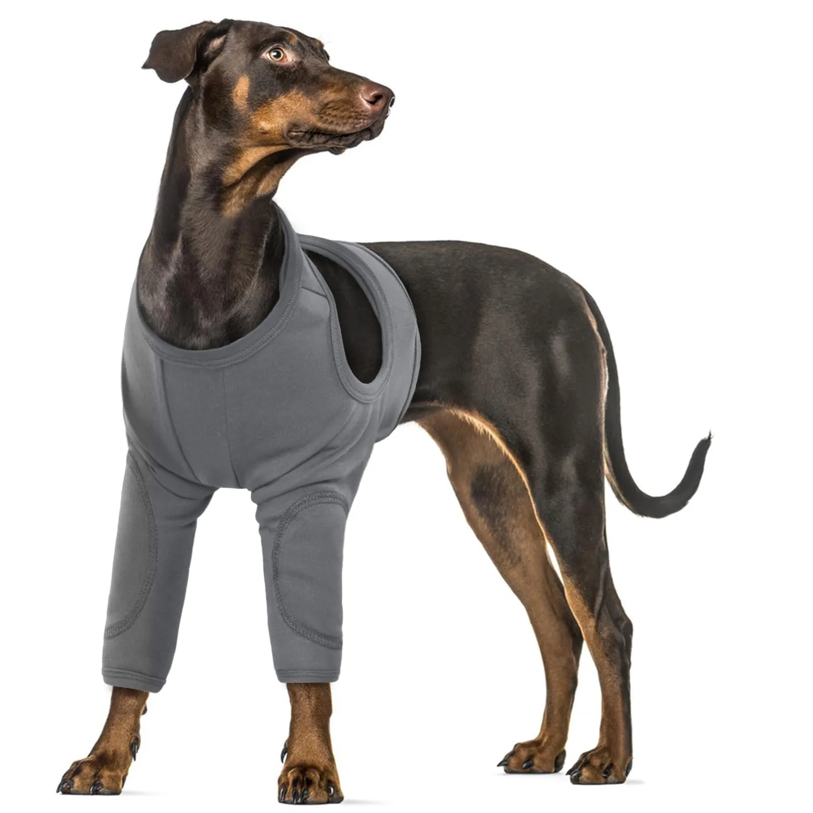 Tutore per Gomito e Ginocchio Cani, Protezione Articolazioni Gomitiere Manicotto Recupero per Cani di Taglia Grande (Grigio, 3XL) - immagine 1