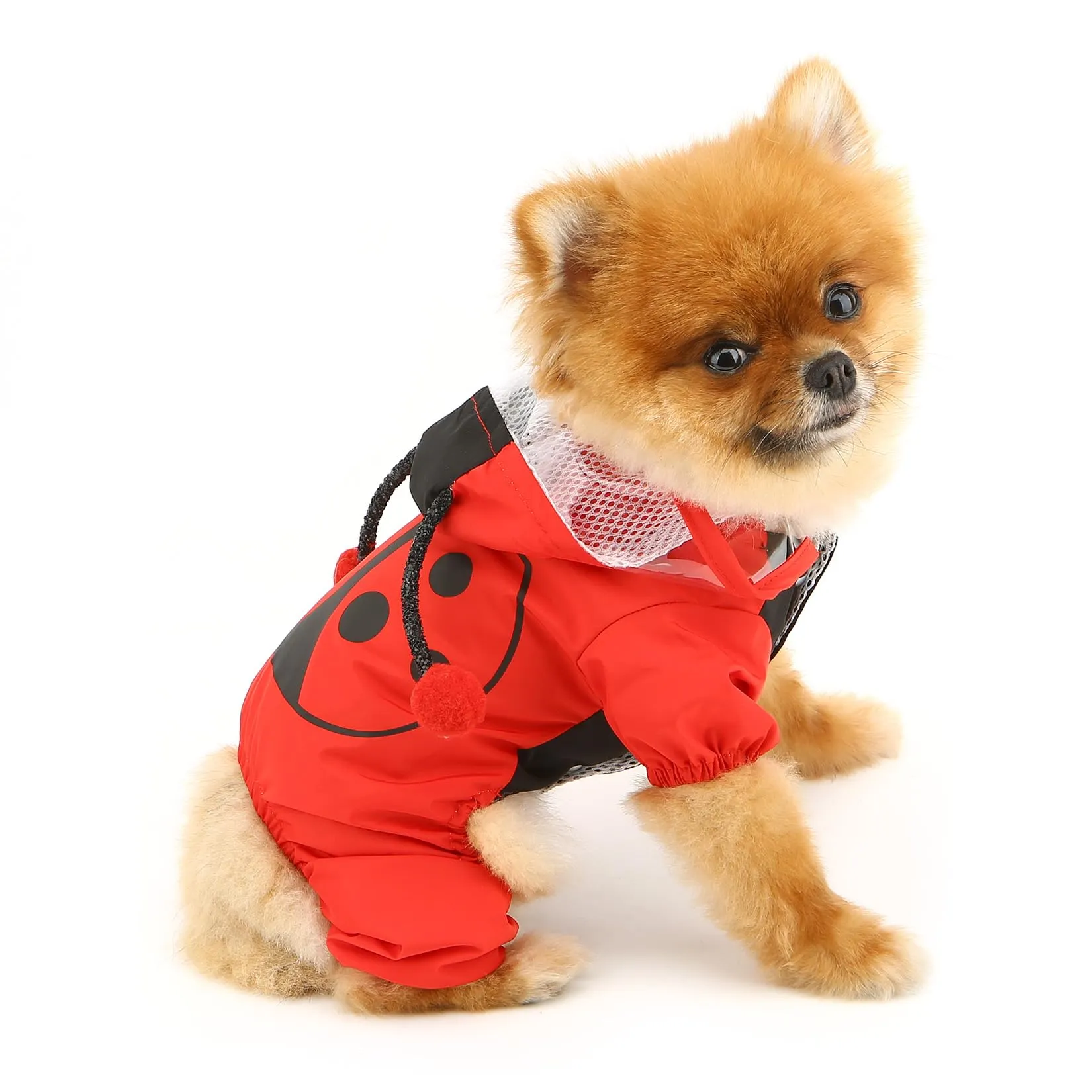 SMALLLEE_LUCKY_STORE Simpatica coccinella impermeabile impermeabile per cani con cappuccio per cani di piccola taglia media con guinzaglio D-ring leggero giacca antipioggia per animali domestici - immagine 3