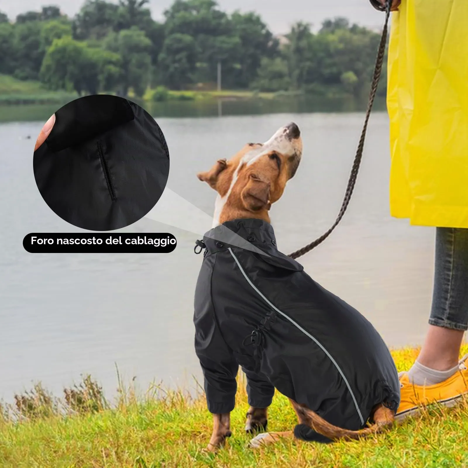 Impermeabile Cani, Cappotto Impermeabile per Cani con Cappuccio Rimovibile & Strisce Riflettenti per Cane di Taglia Piccola Media e Grande(Nero, S) - immagine 5