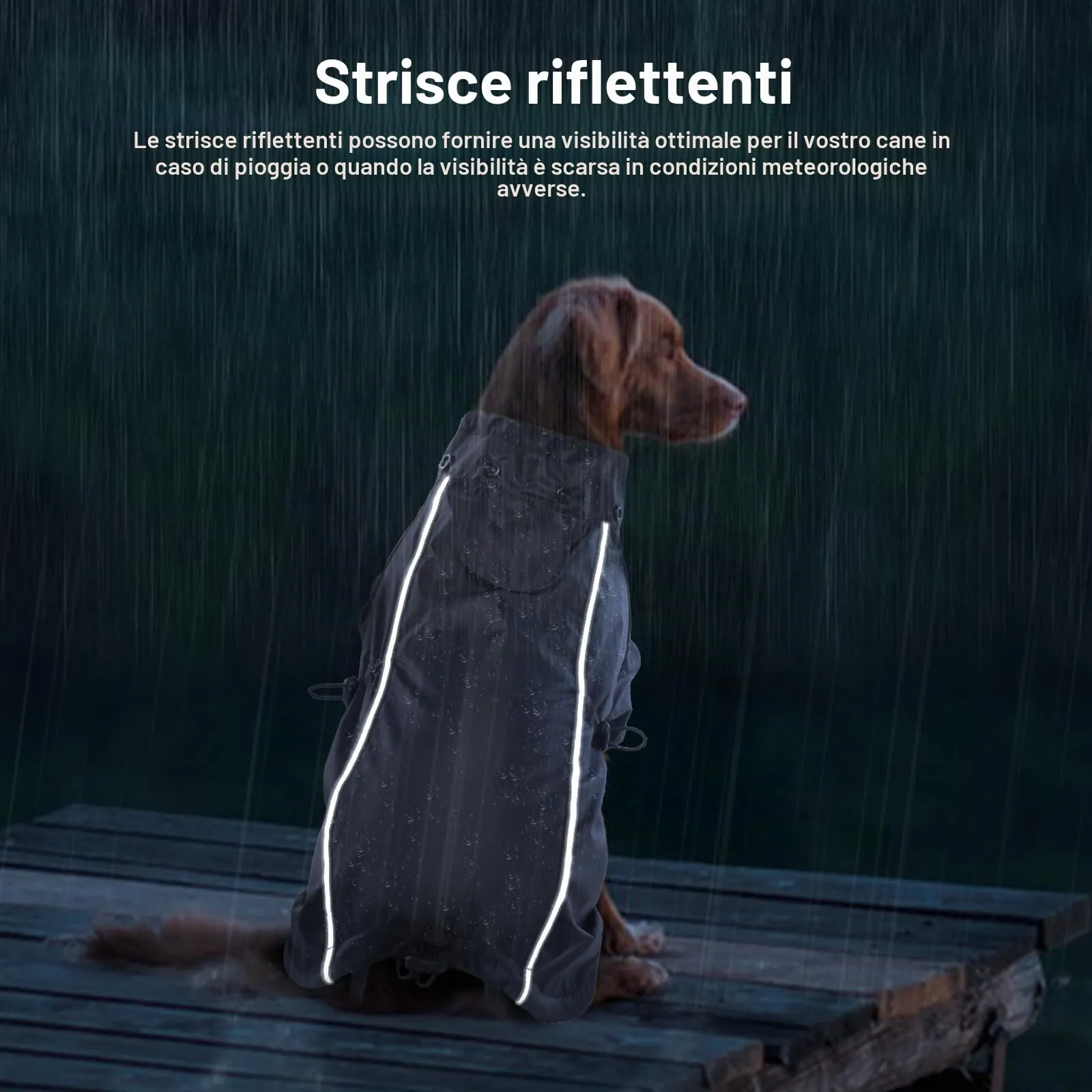 Impermeabile Cani, Cappotto Impermeabile per Cani con Cappuccio Rimovibile & Strisce Riflettenti per Cane di Taglia Piccola Media e Grande(Nero, S) - immagine 6