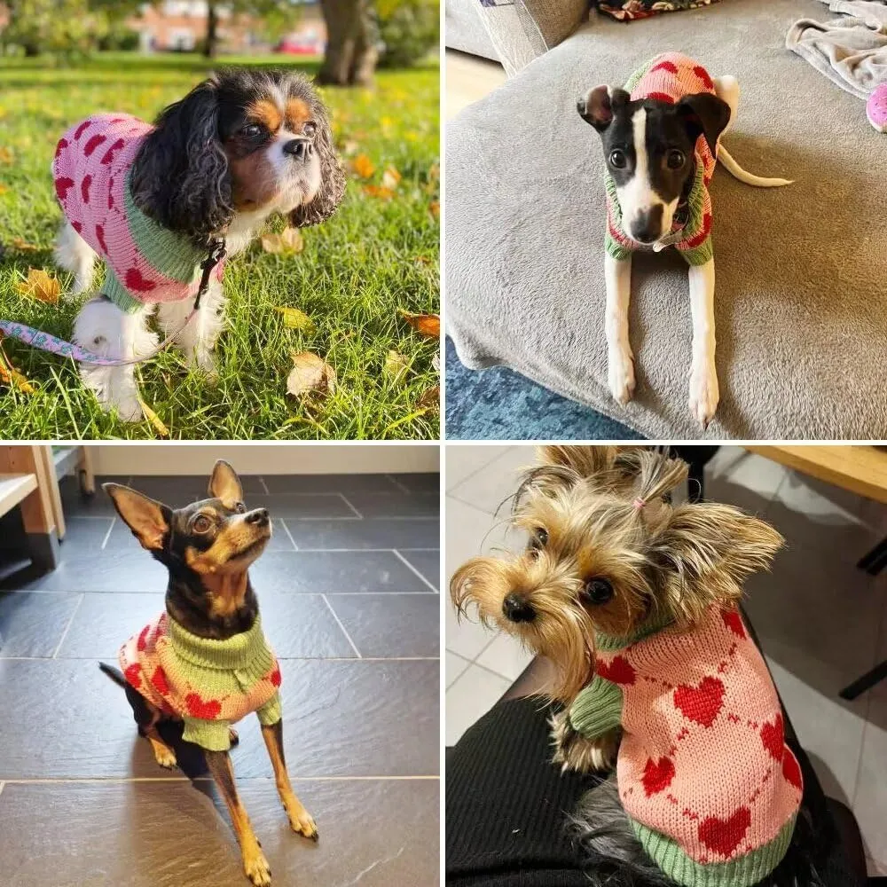 EASTLION Maglioni per Cani,Caldo Maglioncino per Cani,Maglione a Collo Alto per Cani,Cappotto Invernale più Caldo per Cani,Cucciolo di Cane,Gatto (S,Rosa) - immagine 6