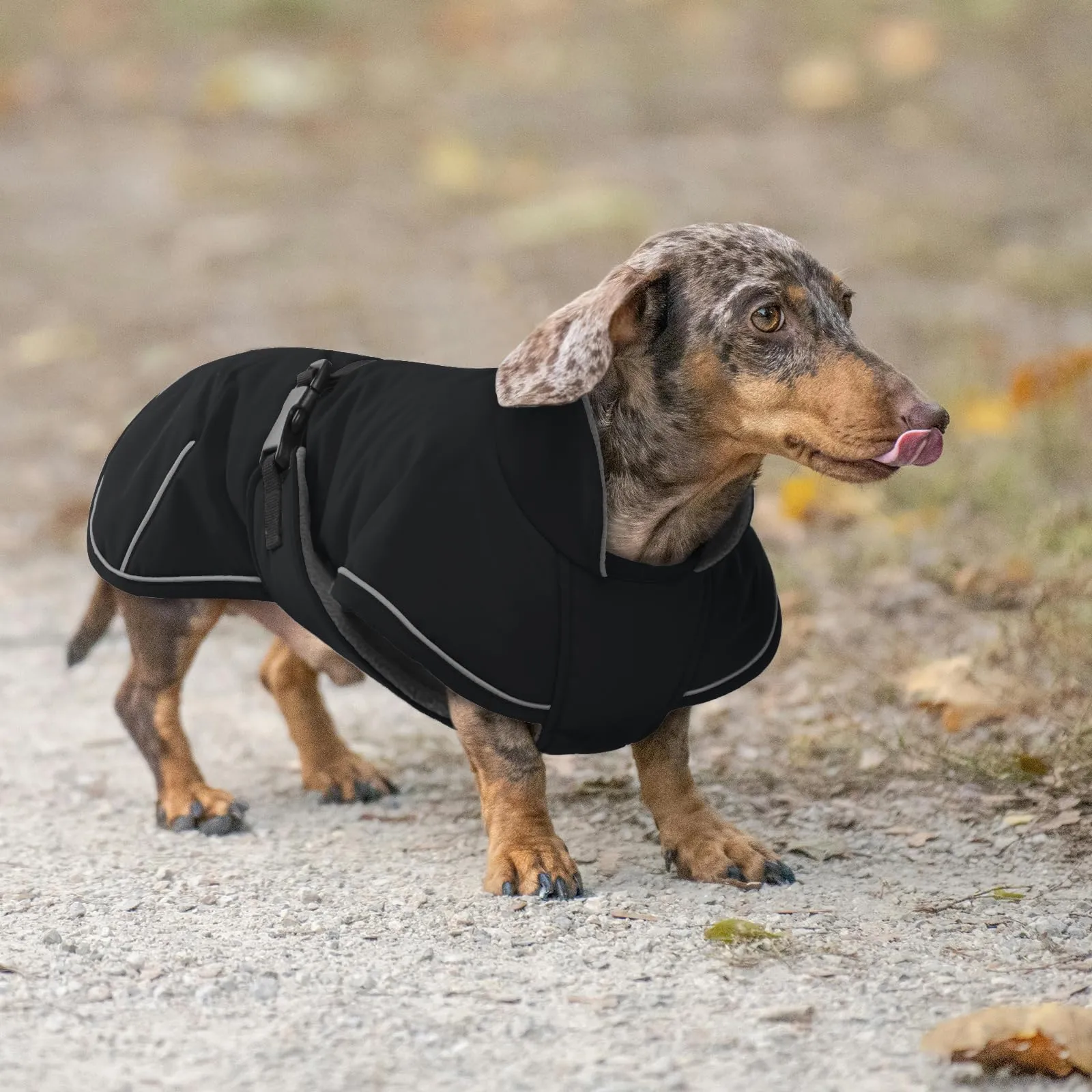 Hjyokuso Cappotto Bassotto Invernale Con Fodera in Morbido Pile, Vestiti Con Striscia Riflettente e Foro Per Guinzaglio, Giubbotto Cane - S - immagine 7