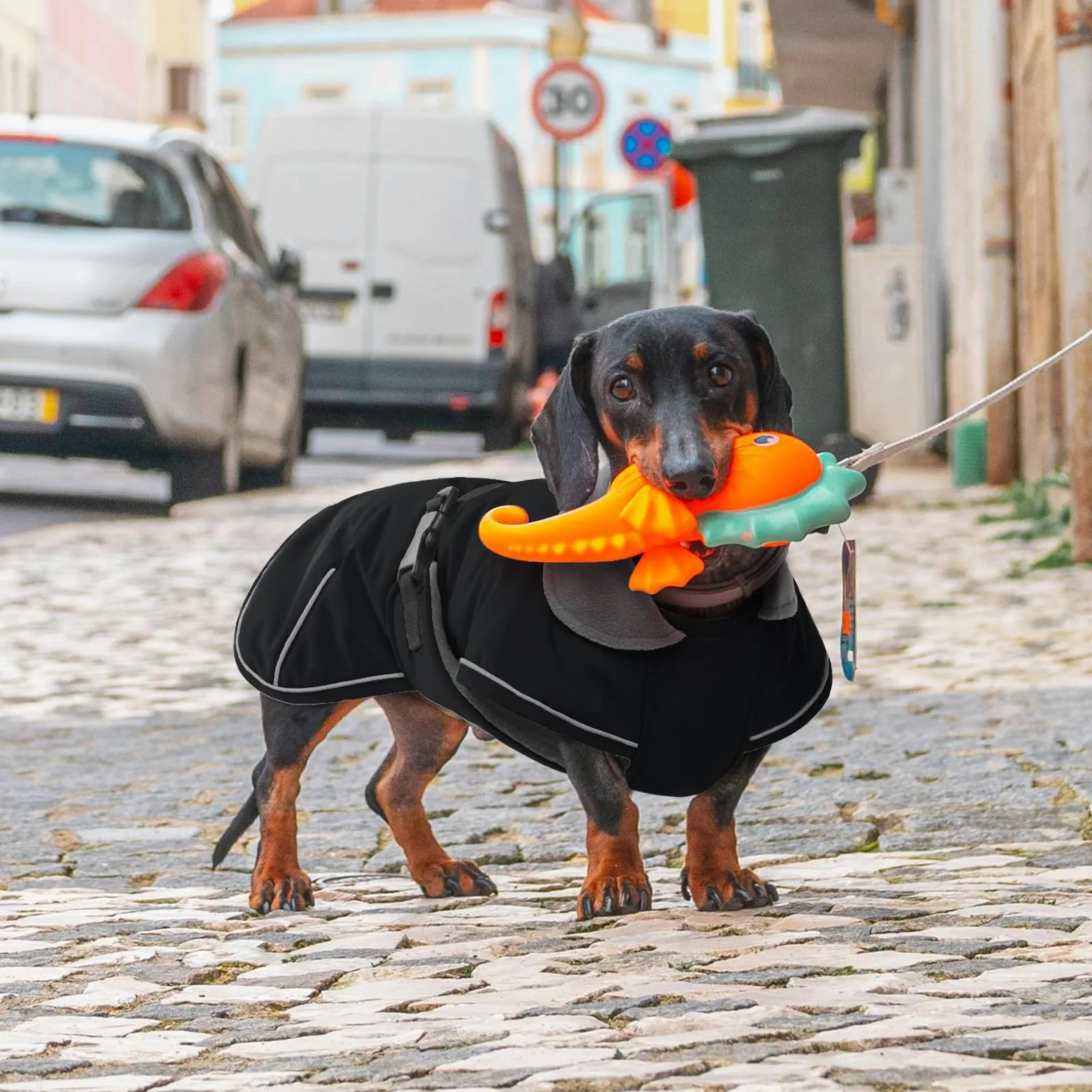 Hjyokuso Cappotto Bassotto Invernale Con Fodera in Morbido Pile, Vestiti Per Cani Con Striscia Riflettente e Foro Per Guinzaglio, Giubbotto - M - immagine 6