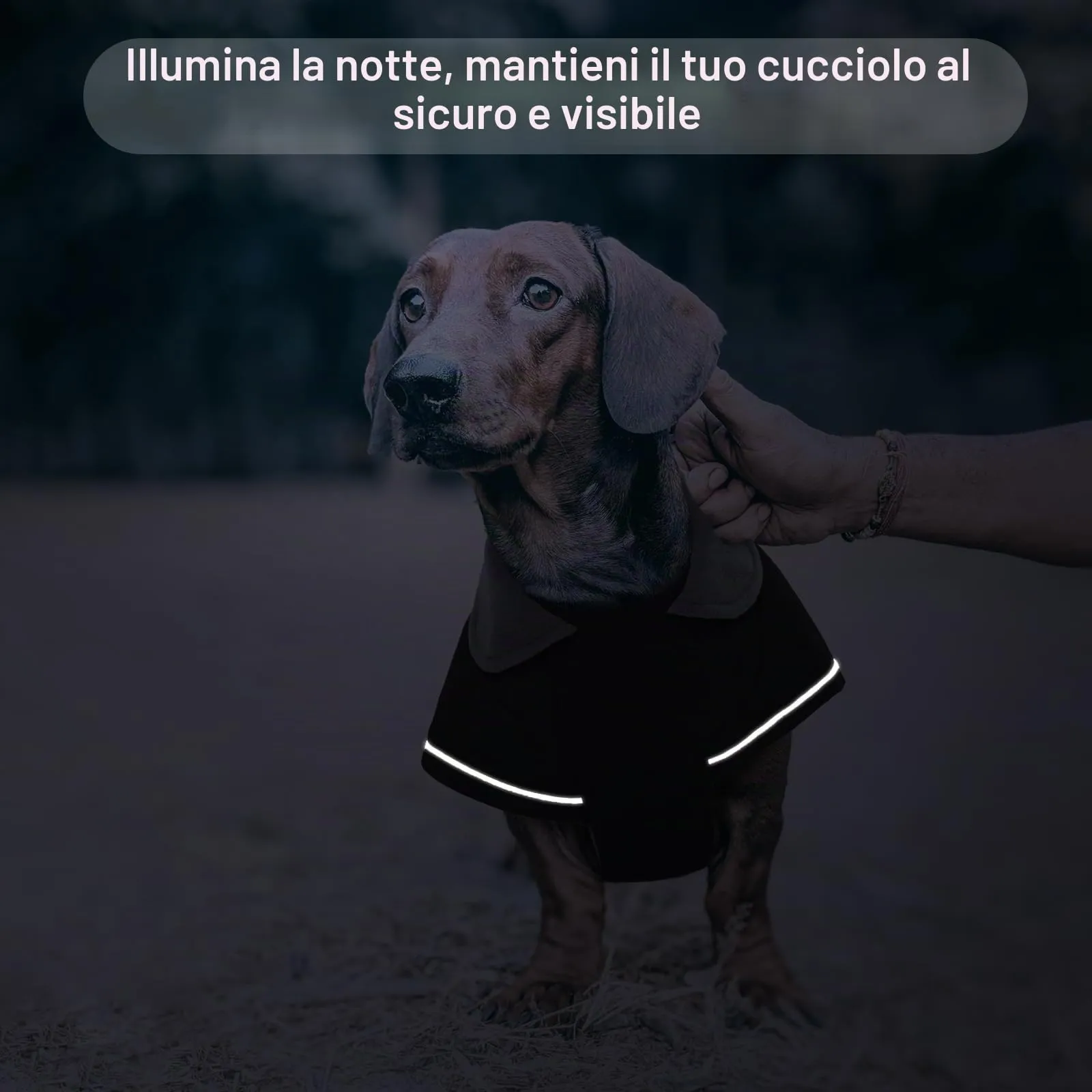 Hjyokuso Cappotto Bassotto Invernale Con Fodera in Morbido Pile, Vestiti Per Cani Con Striscia Riflettente e Foro Per Guinzaglio, Giubbotto - XL - immagine 5