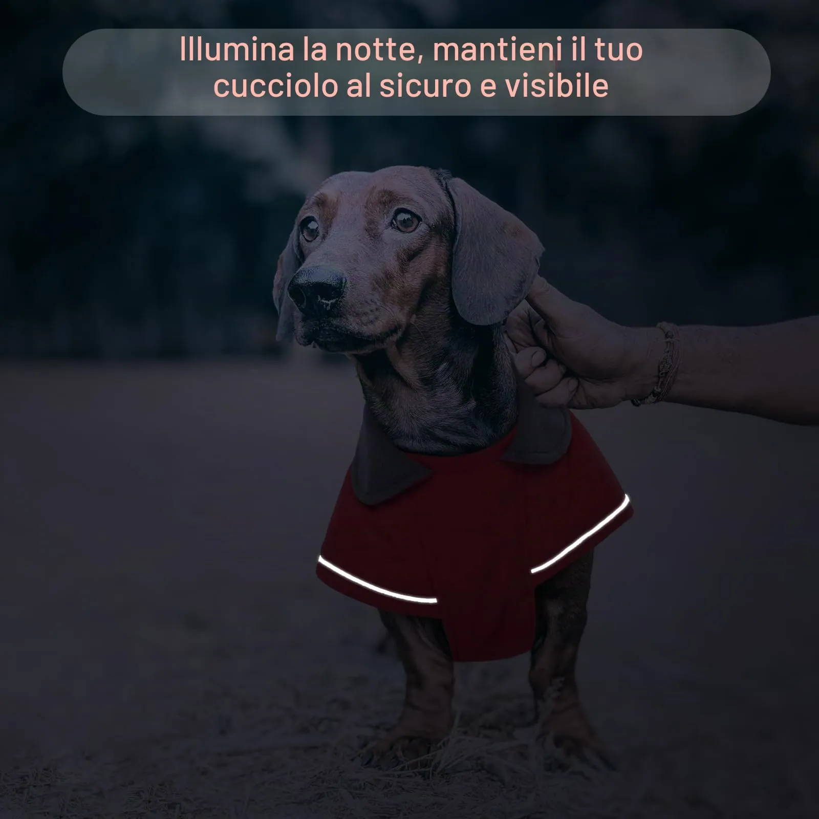 Hjyokuso Cappotto invernale per cani bassotto impermeabile con fodera morbida e calda, design a pullover, per cani salsiccia in miniatura in condizioni di freddo, passeggiate, neve, avventure all'aria - immagine 5