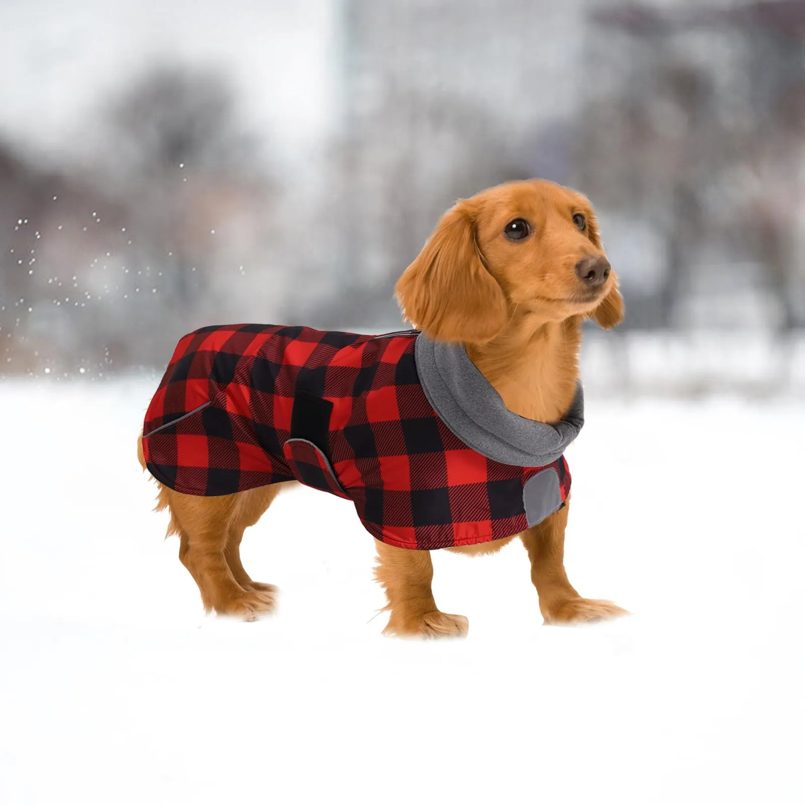 Giacca invernale per cani MOREZI, strato esterno impermeabile, fodera in pile, con cintura regolabile e finiture riflettenti, adatta a cani di piccola e media taglia-Quadretti Rosso-XS - immagine 6