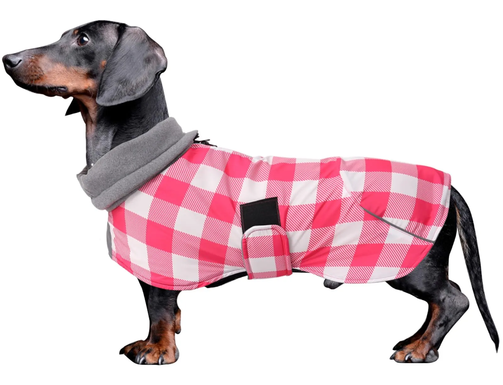 MOREZI Giacca Calda Per Cani Teckel, Abbigliamento Invernale Caldo Per Cani - immagine 1